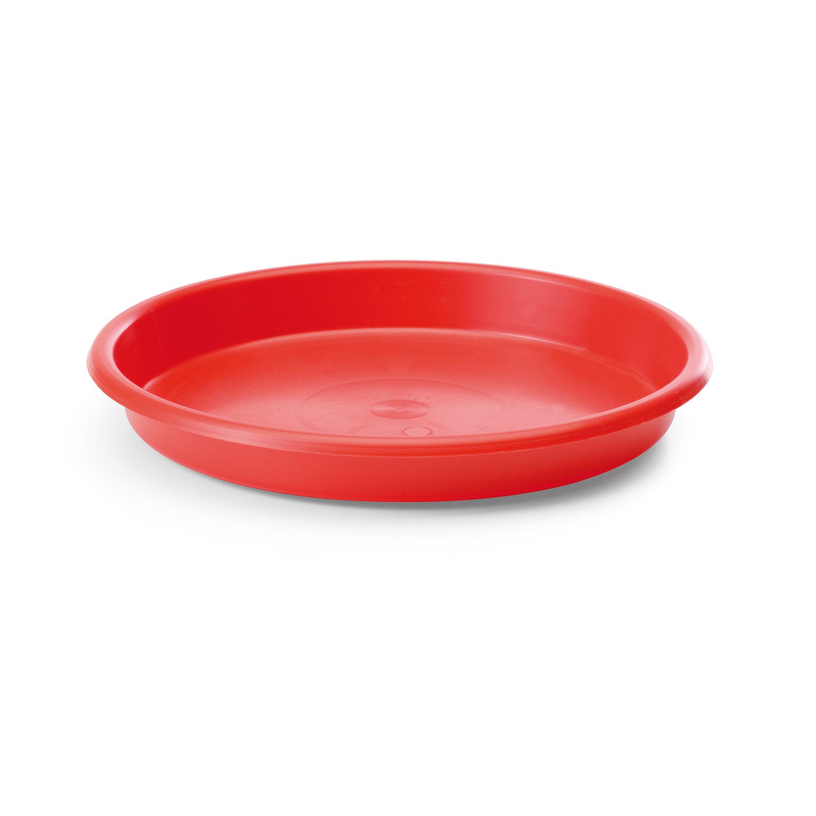 Futterteller für Küken 24 cm