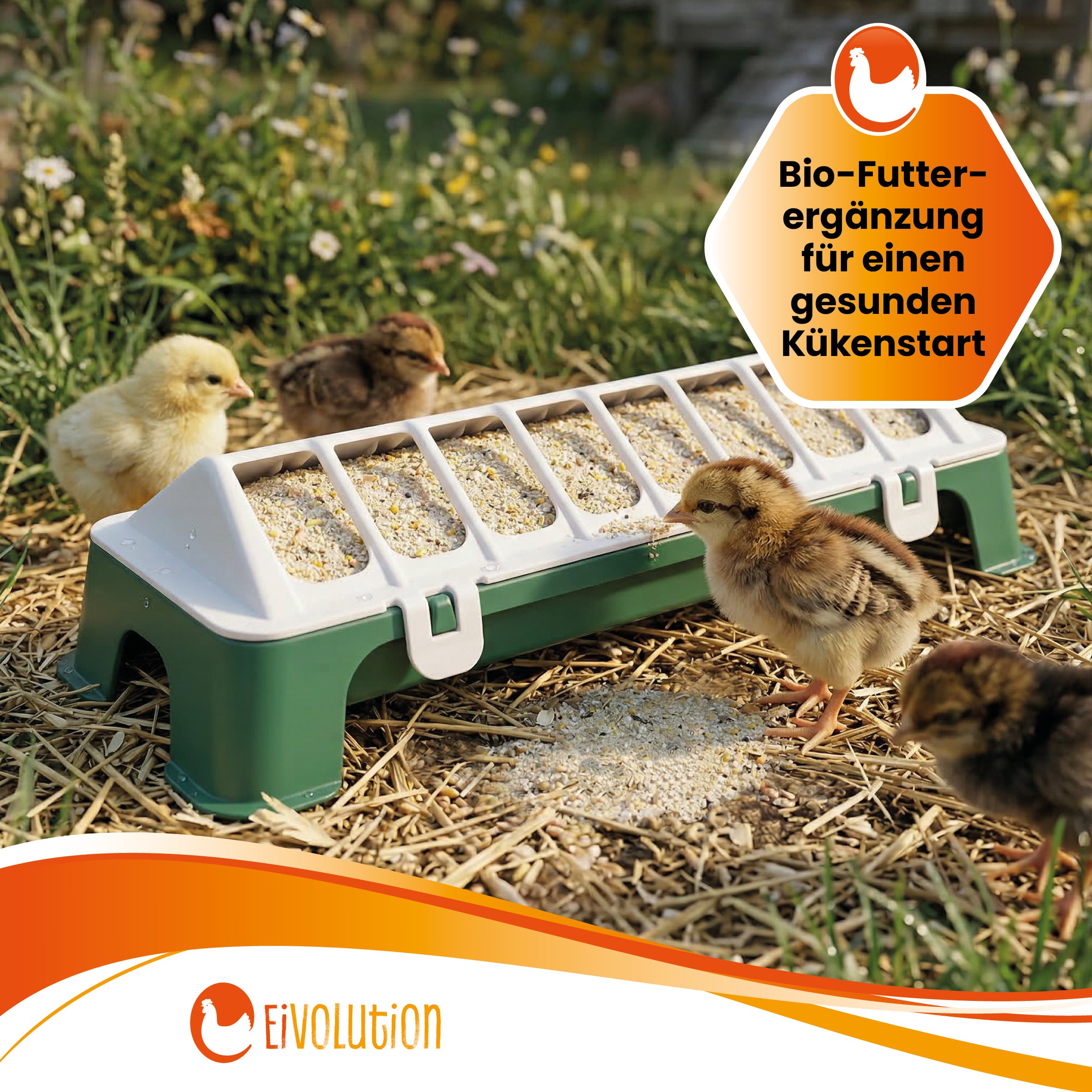 Bio ChickStart – Sanfter Start ins Kükenleben