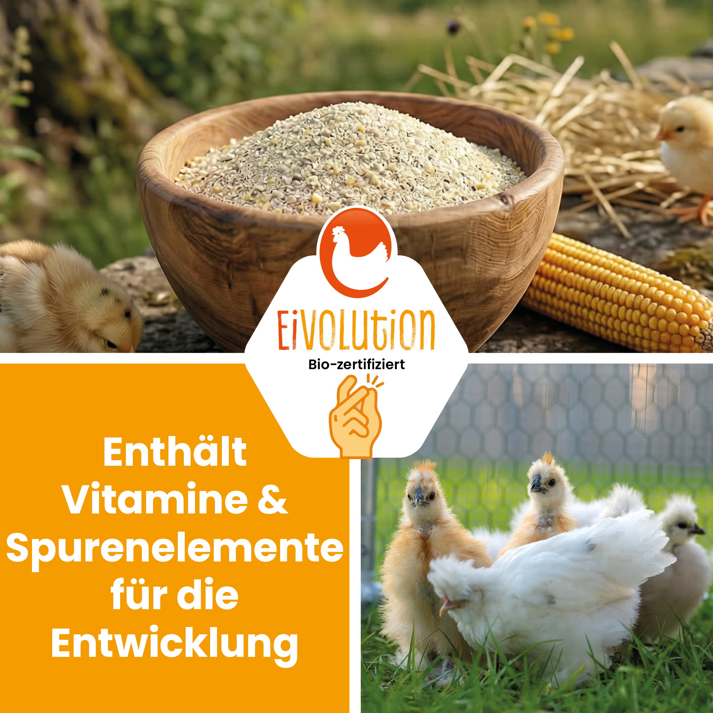 Bio ChickStart – Sanfter Start ins Kükenleben