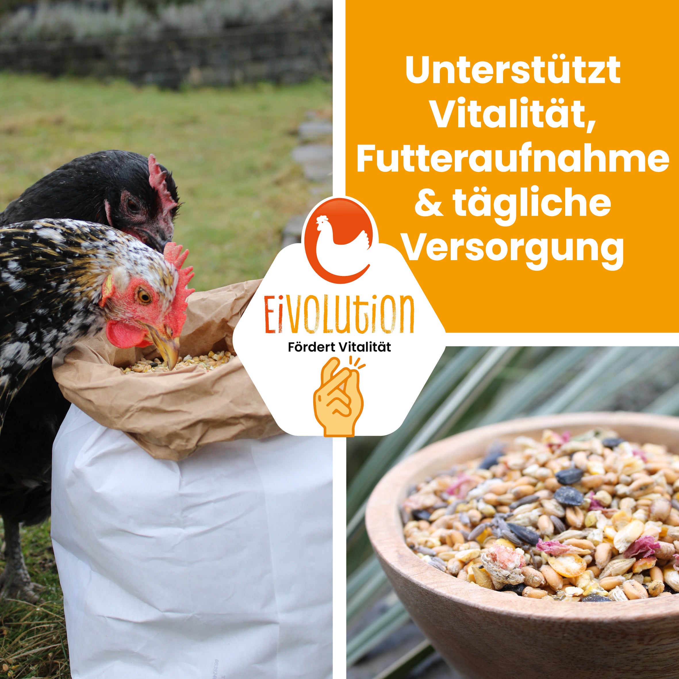 BioGlück Balance – Bio-Futtermischung mit natürlicher Kräuterkraft