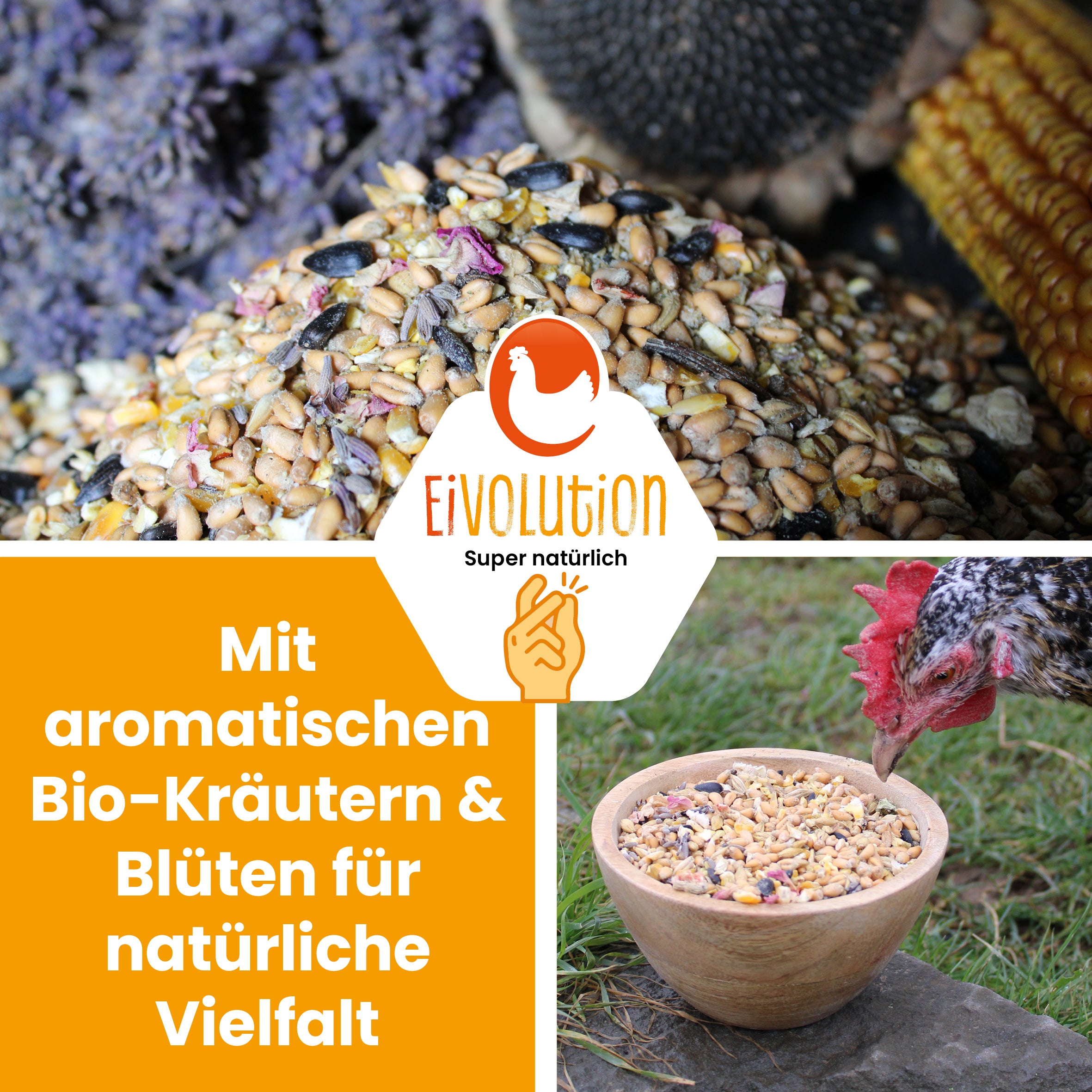 BioGlück Balance – Bio-Futtermischung mit natürlicher Kräuterkraft