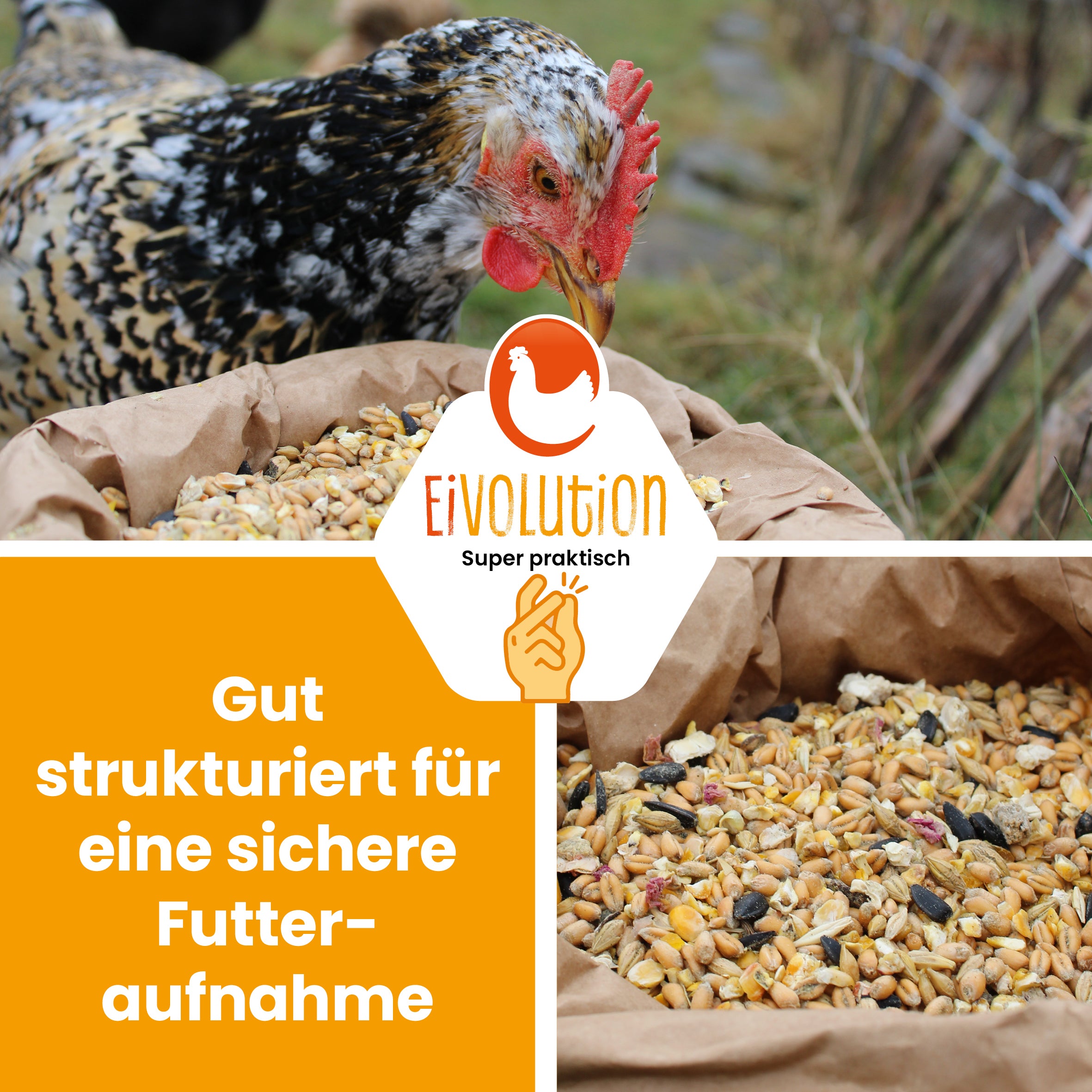 BioGlück Balance – Bio-Futtermischung mit natürlicher Kräuterkraft