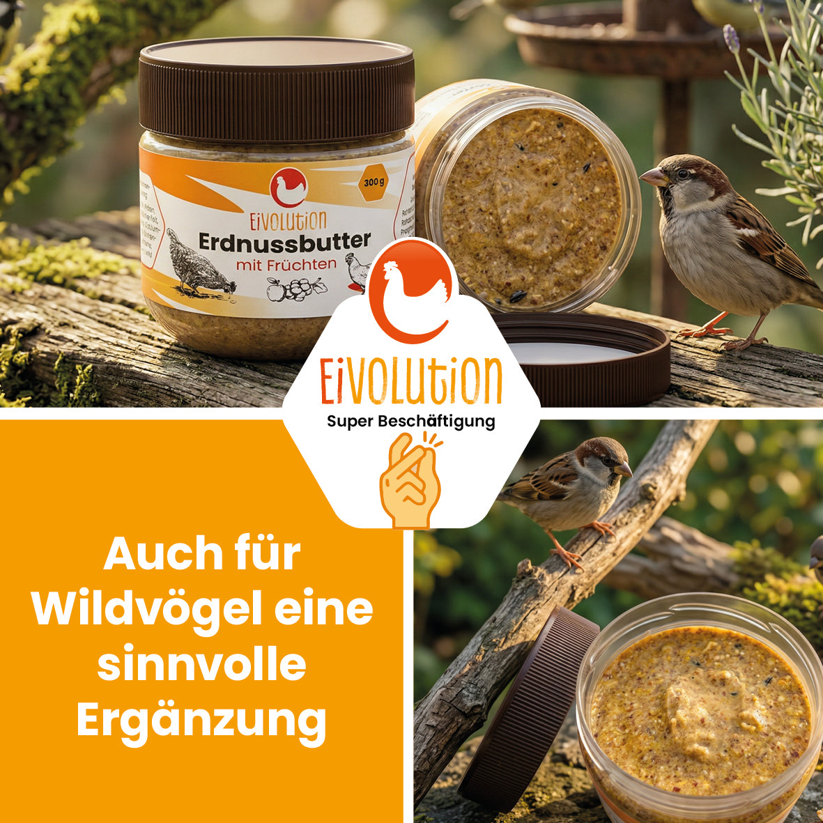 Erdnussbutter mit Früchten – Snack & Ergänzungsfutter 300 g