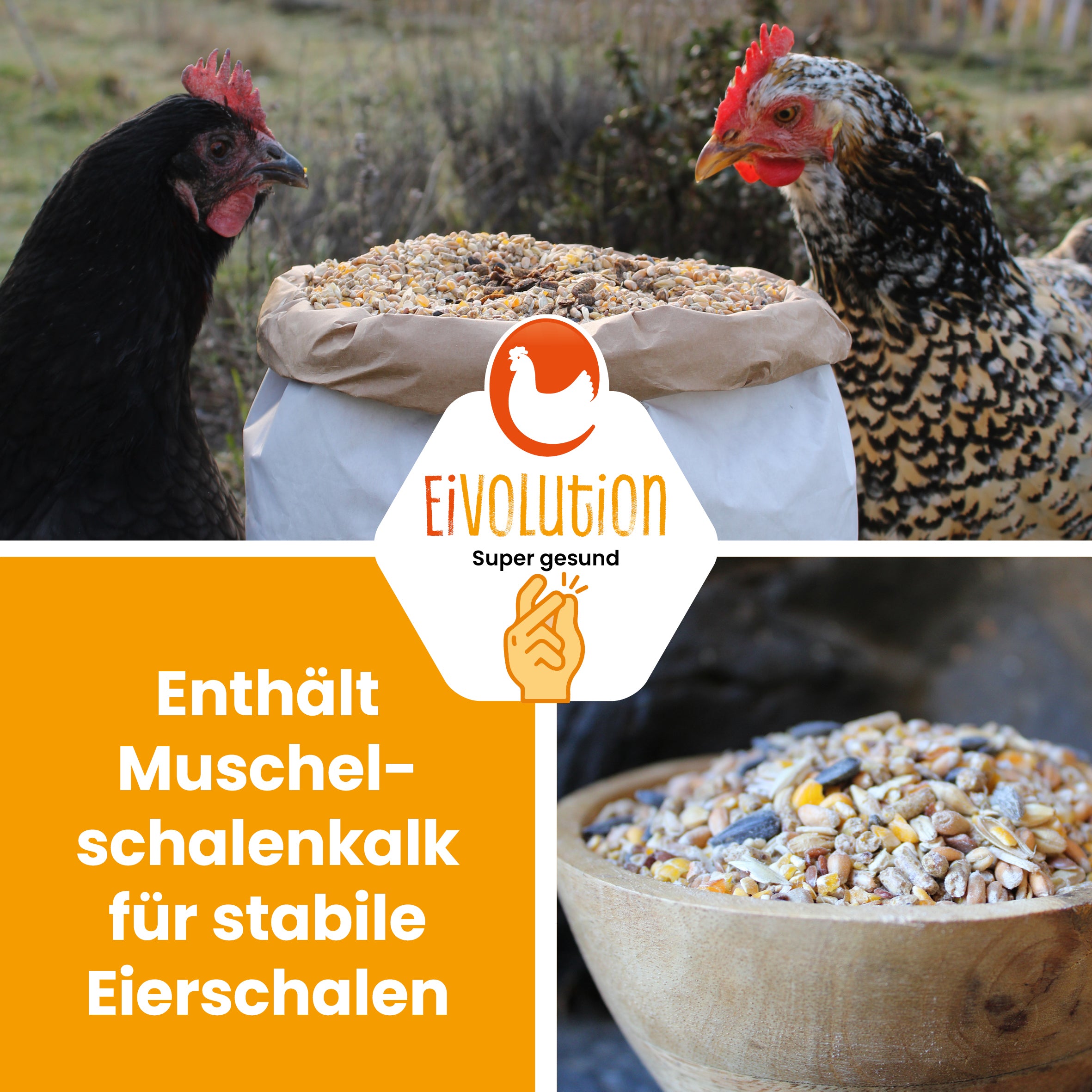 Bio HühnerGlück – Natürlicher Futter-Mix