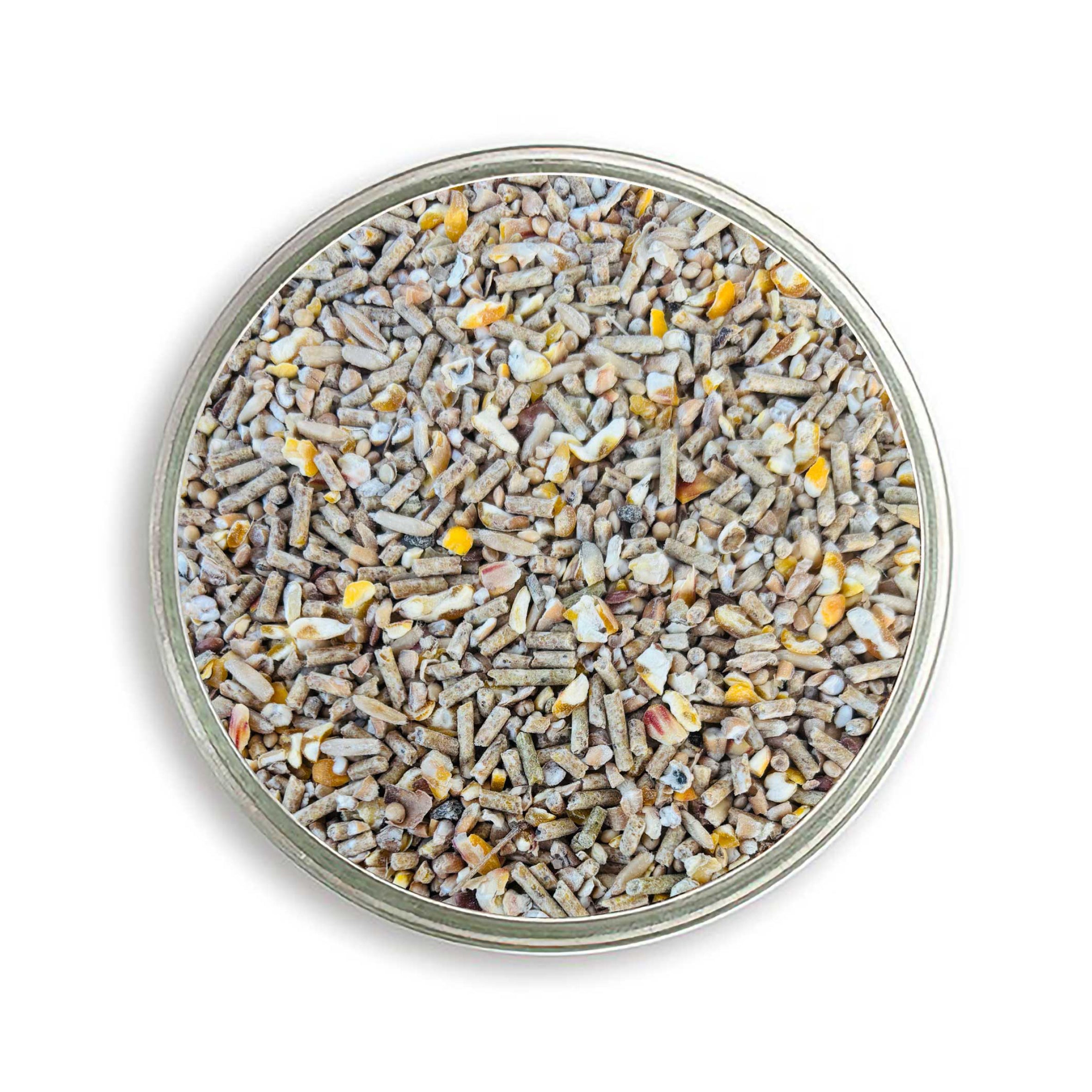 Bio KükenGlück – Stärkende Futterbasis für Küken