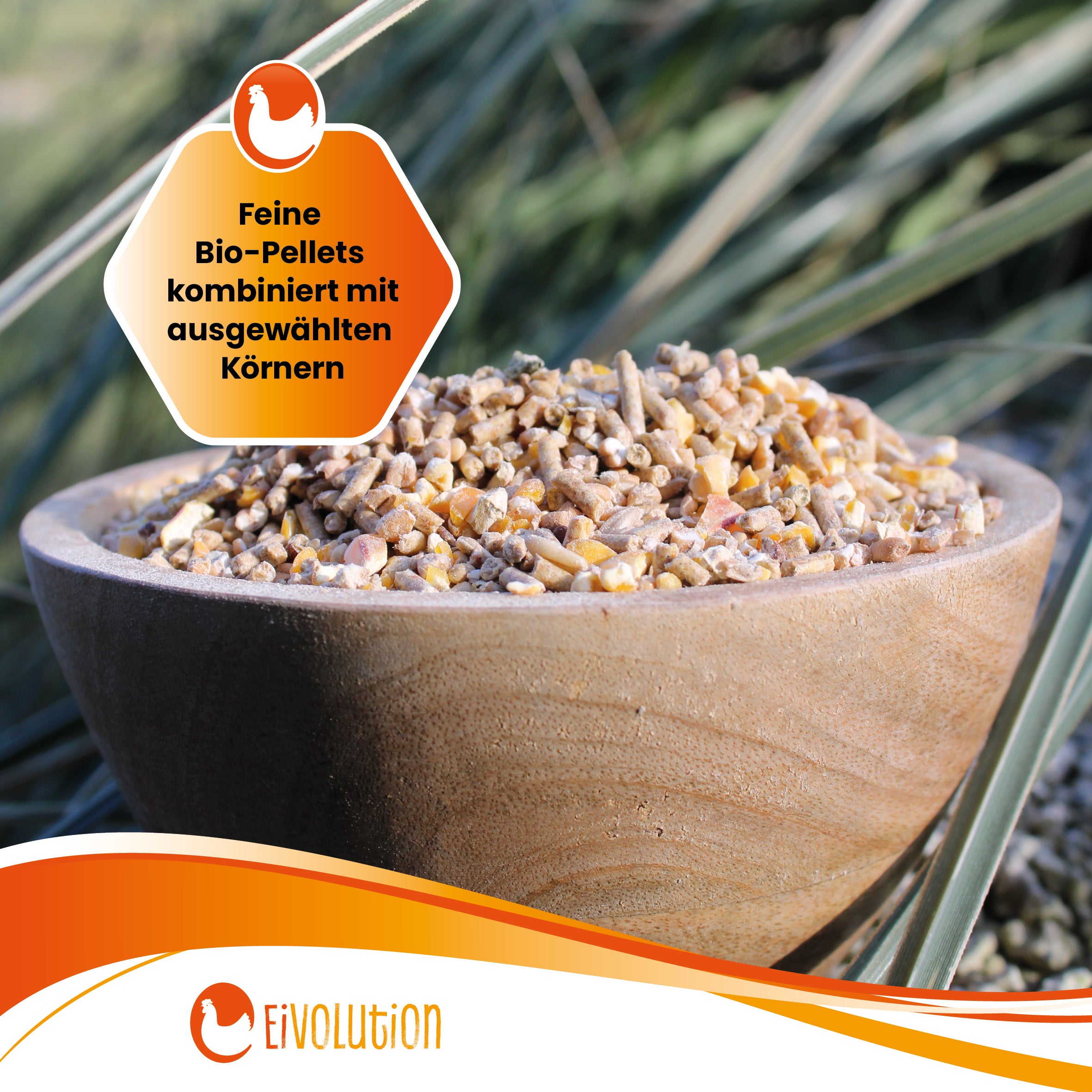 Bio KükenGlück – Stärkende Futterbasis für Küken