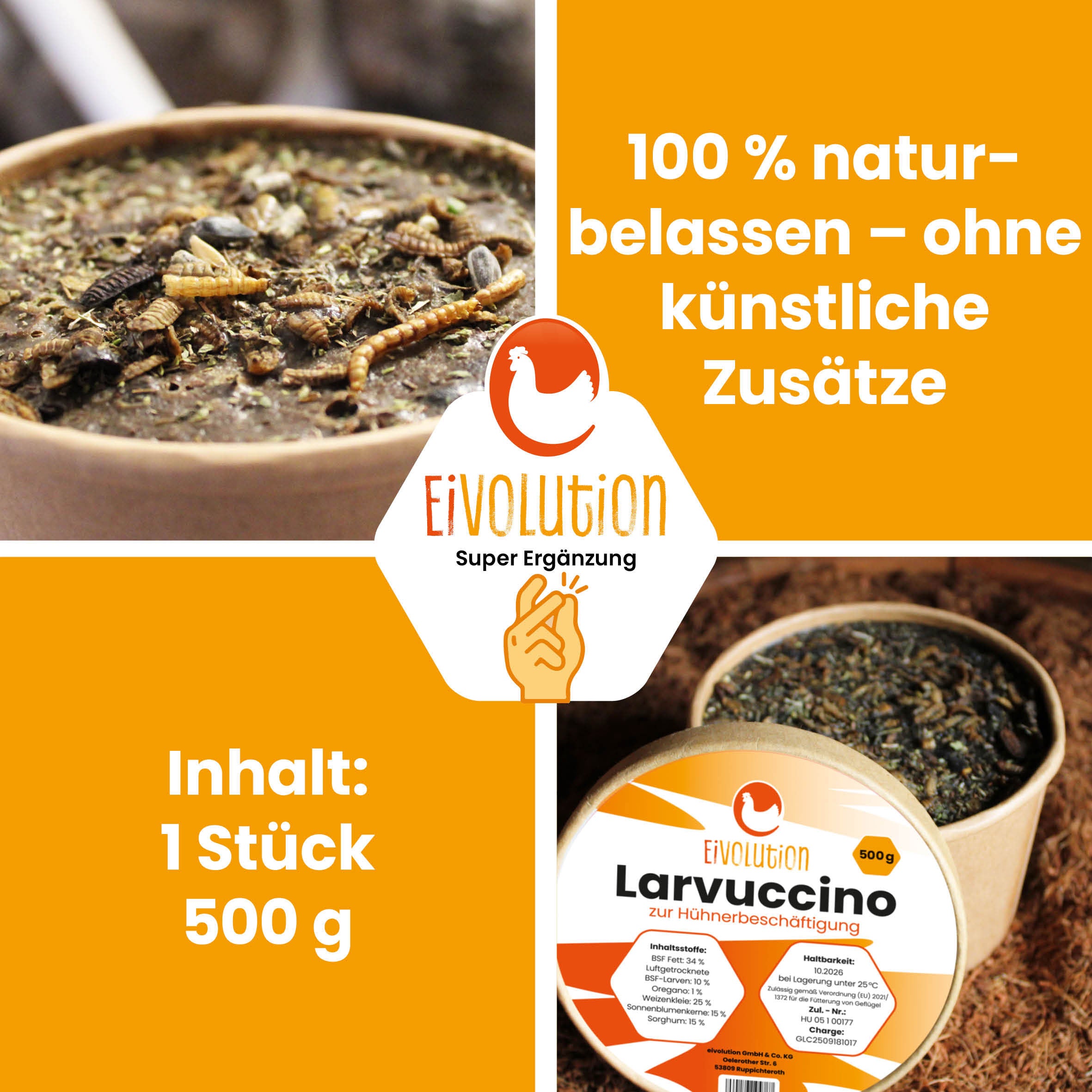 Larvuccino – der kleine Hühner-Kaffeeklatsch mit Genussfaktor