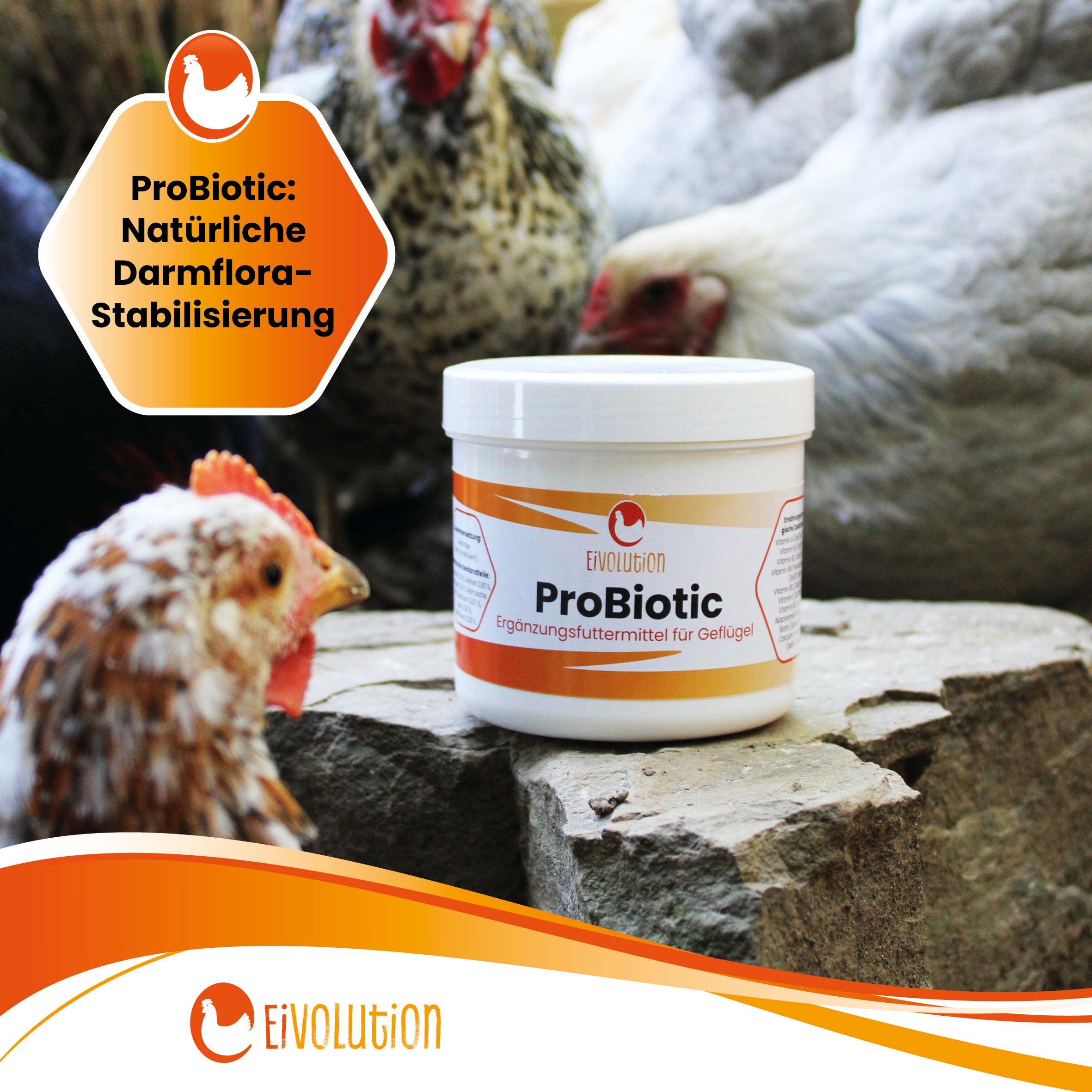 ProBiotic "ProBiotic: Natürliche Darmflora-Stabilisierung"