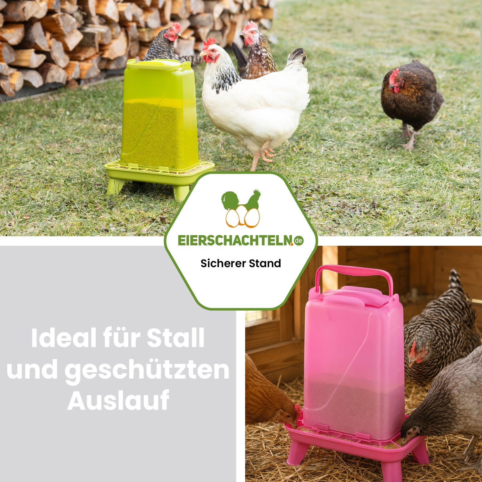 Futterautomat mit Standfüßen 5 kg in Grün oder Pink für Hühner und Geflügel