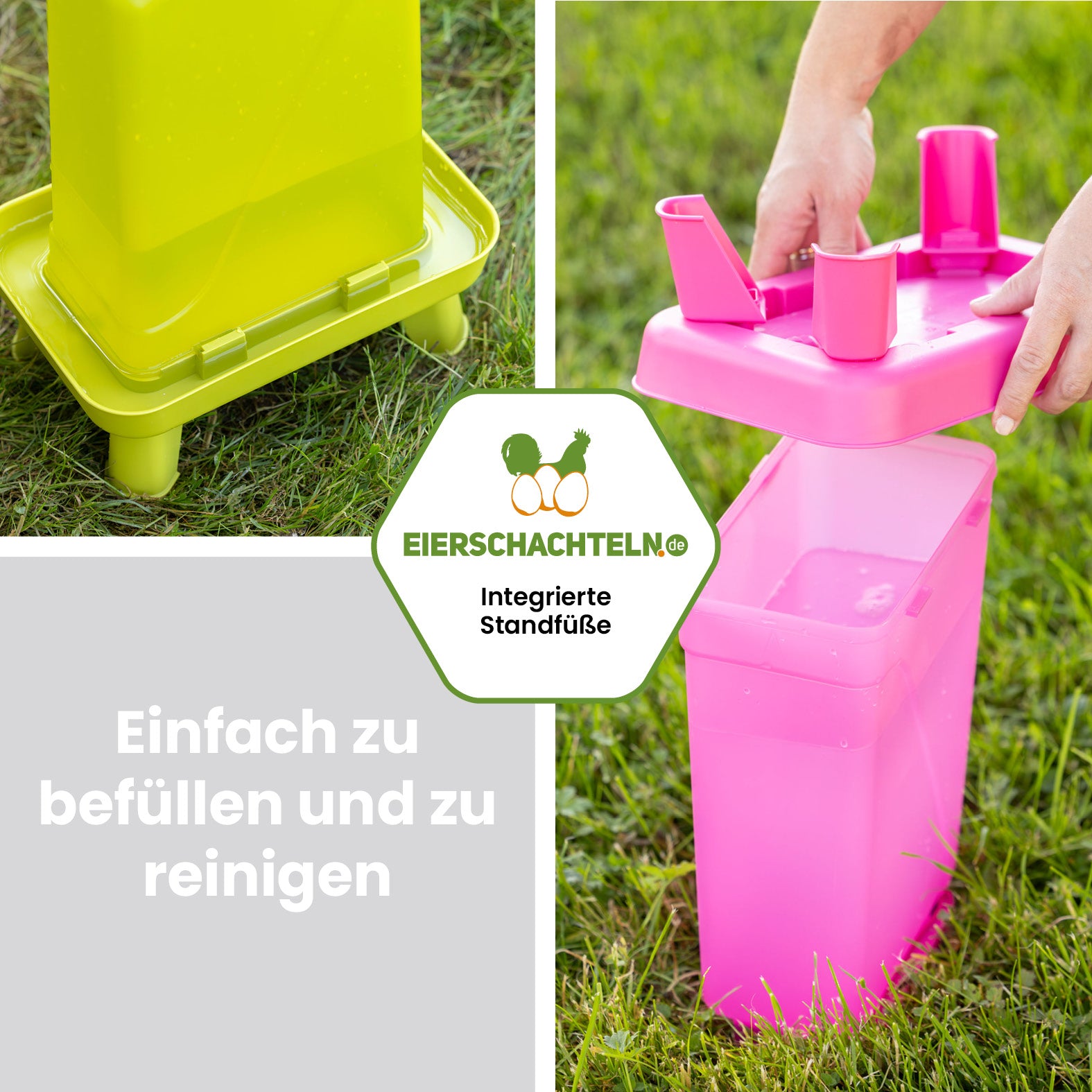 Kunststofftränke mit Standfüßen 5,5 Liter in Grün oder Pink für Hühner und Geflügel