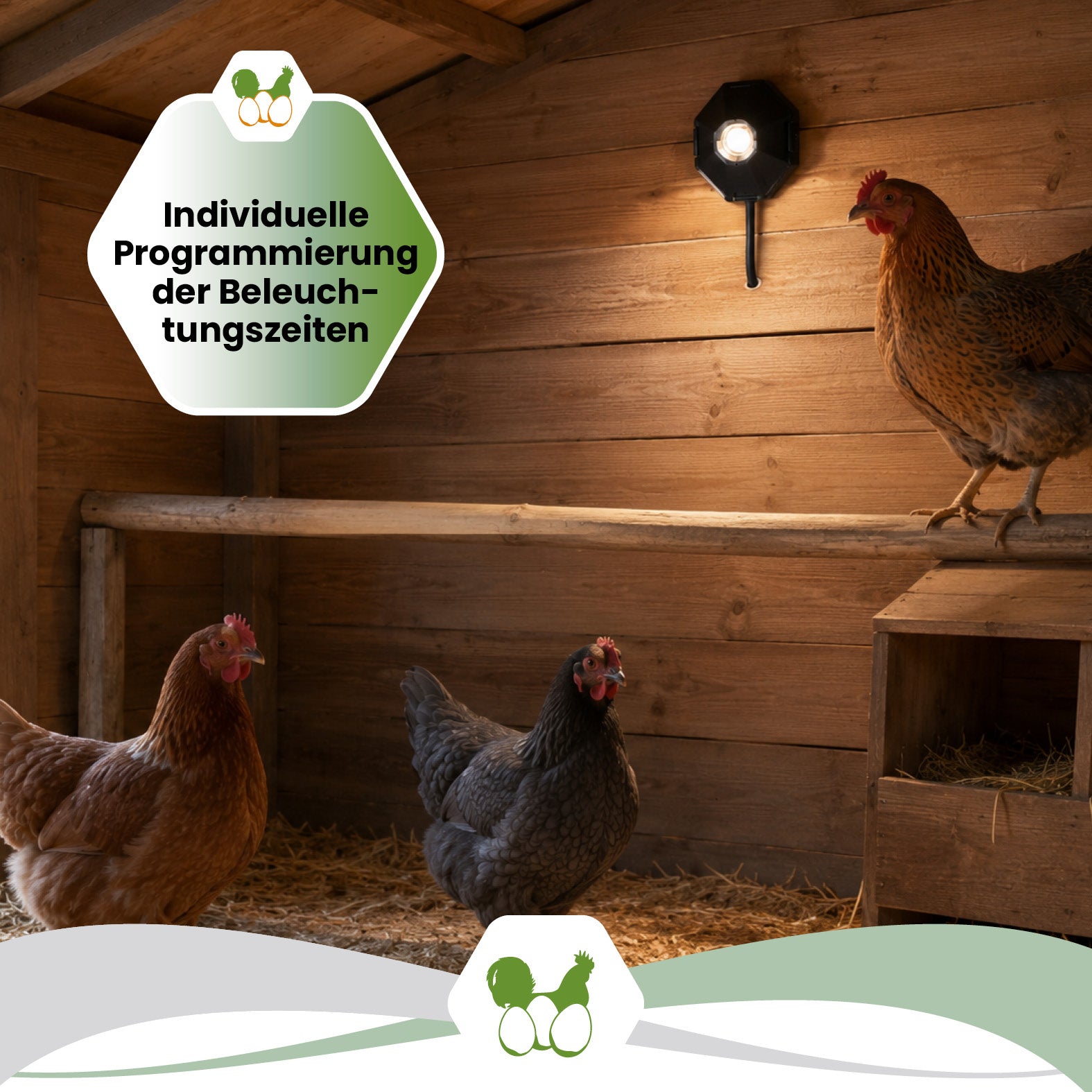 SmartCoop LED-Stallbeleuchtung für Hühnerställe