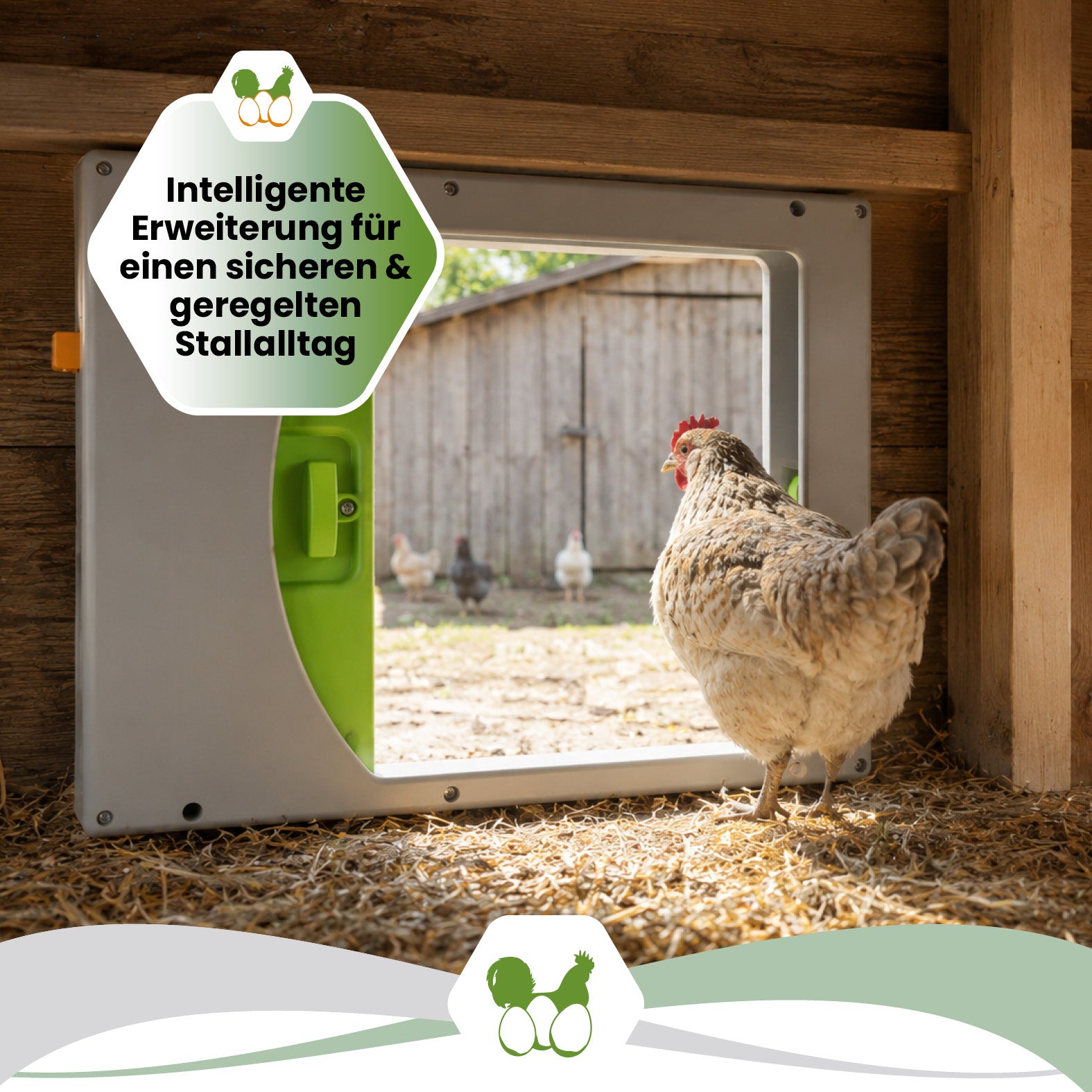 SmartCoop Hühnertür für die automatische Stallöffnung