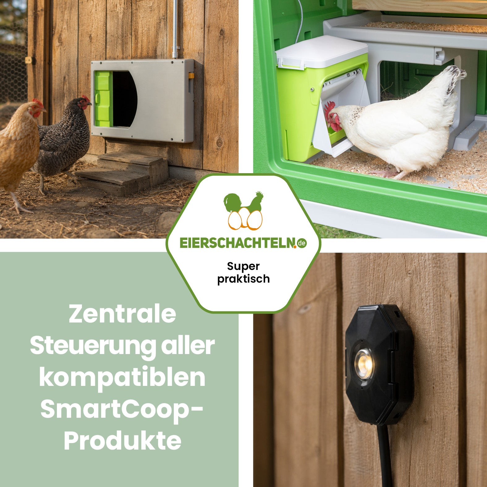 Smart Coop Steuerung für die automatische Stallsteuerung