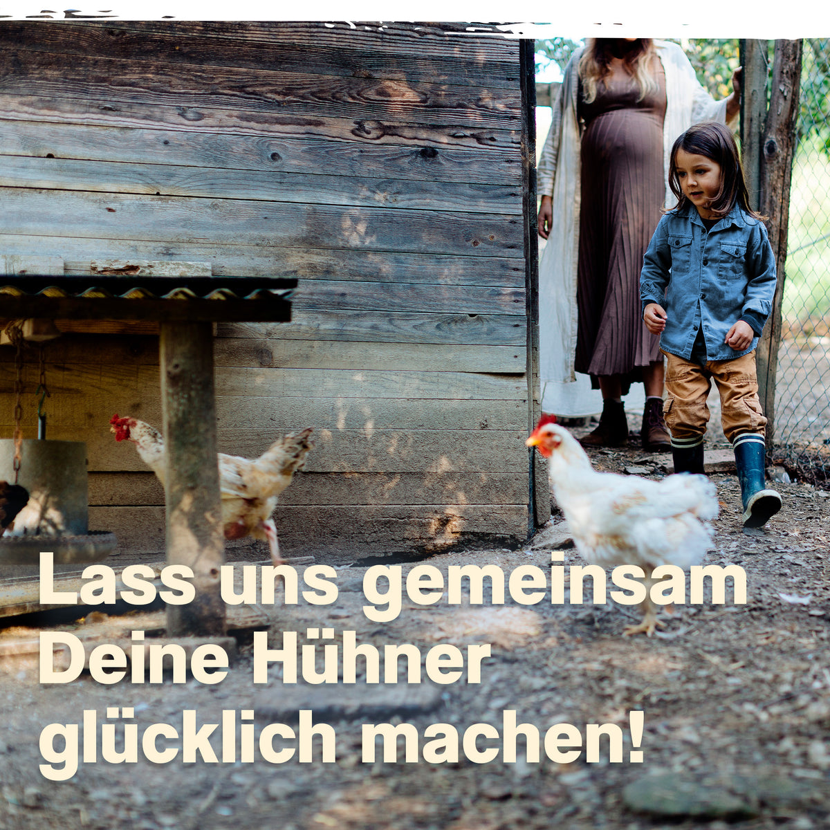 MineralPlus mit Kalzium für Hühner "Lass uns zusammen deine Hühner glücklich machen"