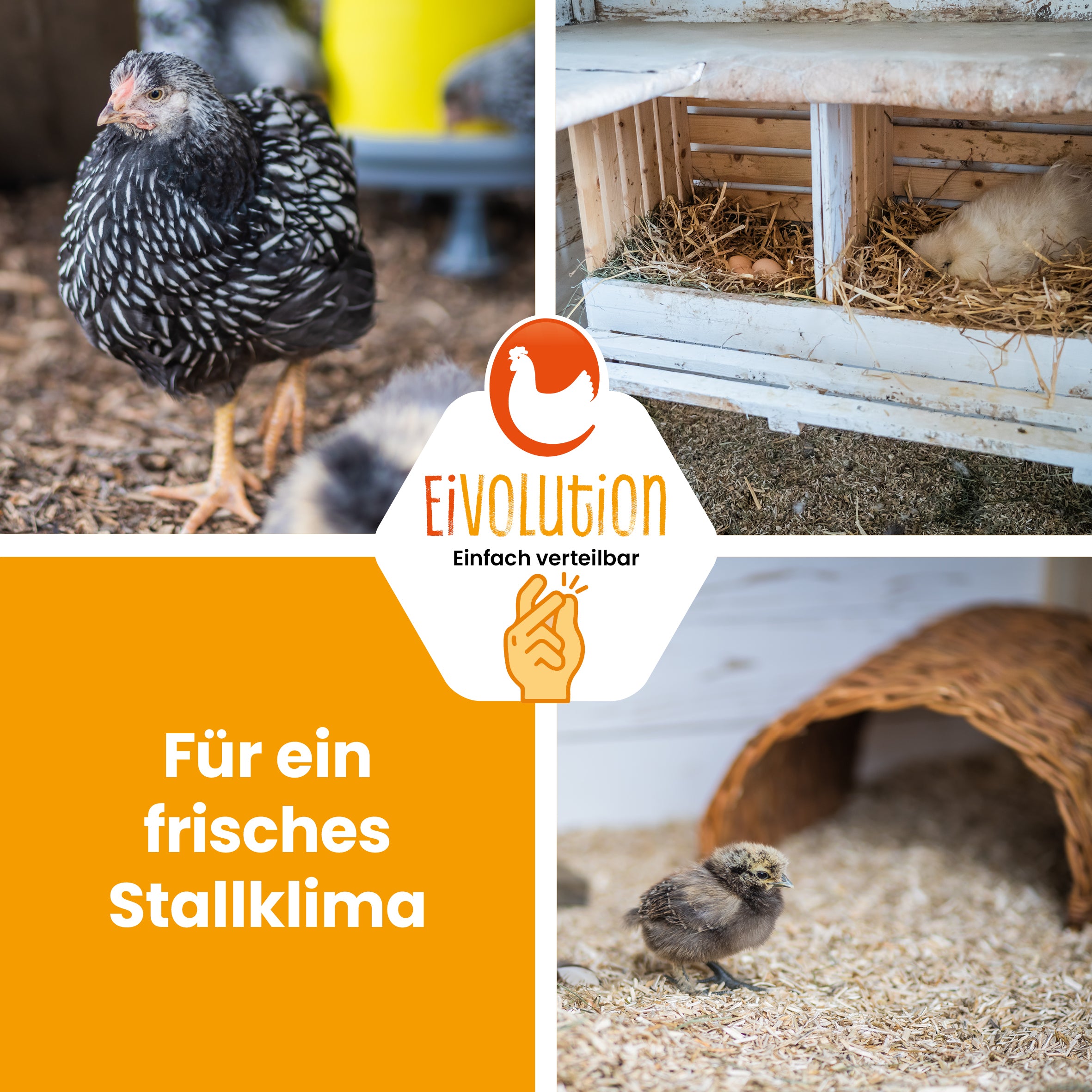 Hanfeinstreu mit Eukalyptus "Für ein frisches Stallklima"