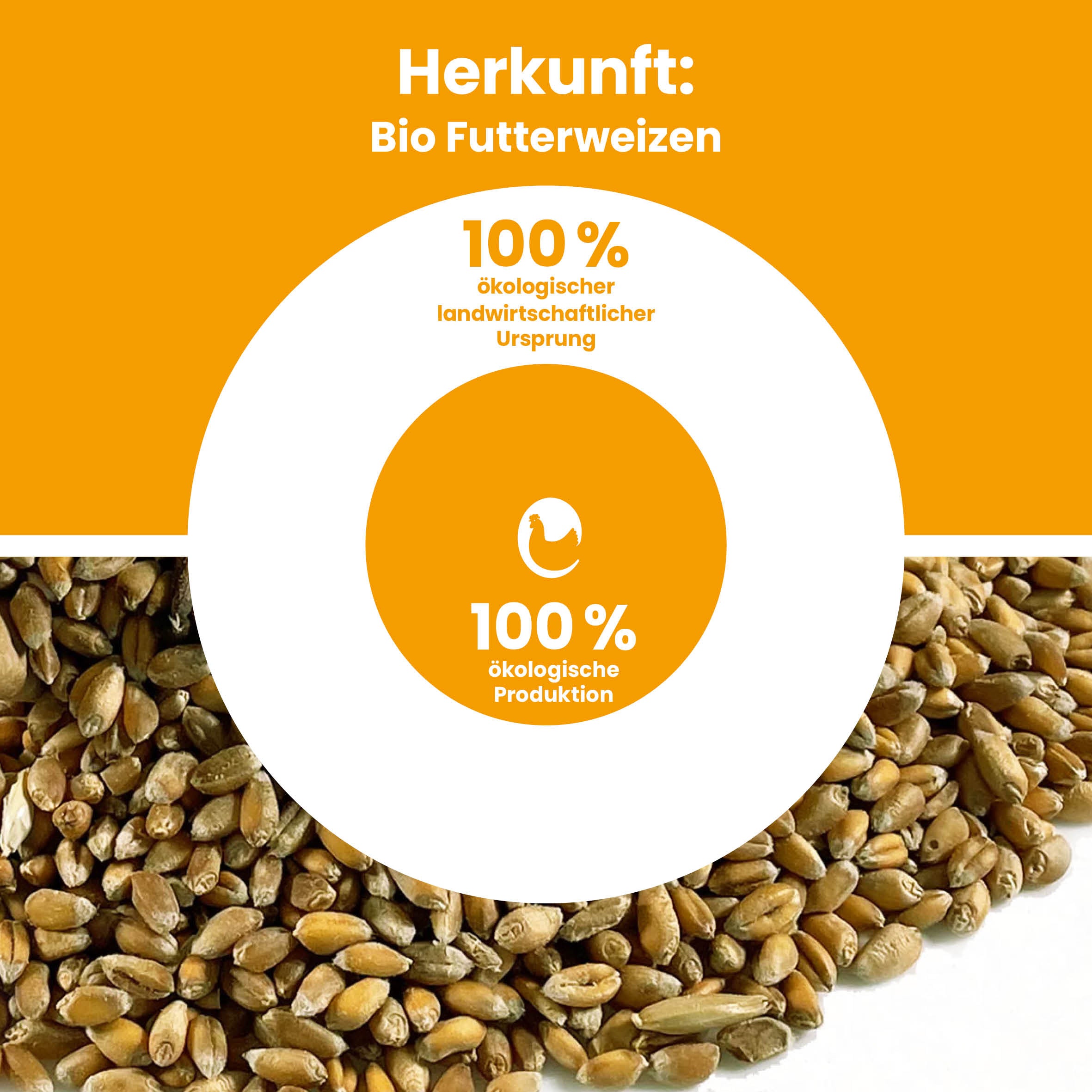 Bio-Futterweizen "Herkunft: 100% ökologischer landwirtschaftlicher Ursprung, 100% ökologische Produktion"