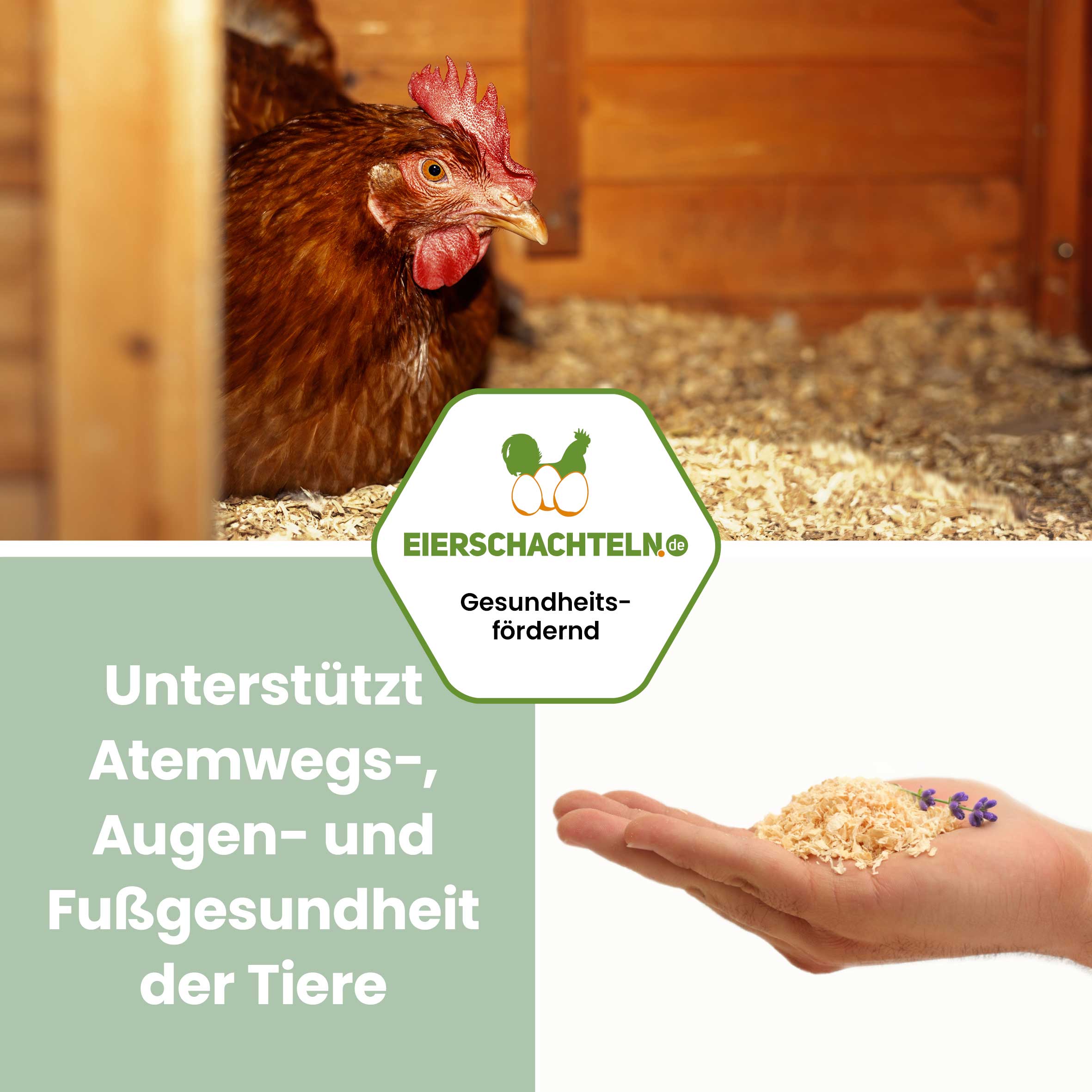 Hobelspäne Einstreu "Lavendel" - 4 kg "Unterstützt Atemwegs-, Augen- und Fußgesundheit der Tiere"