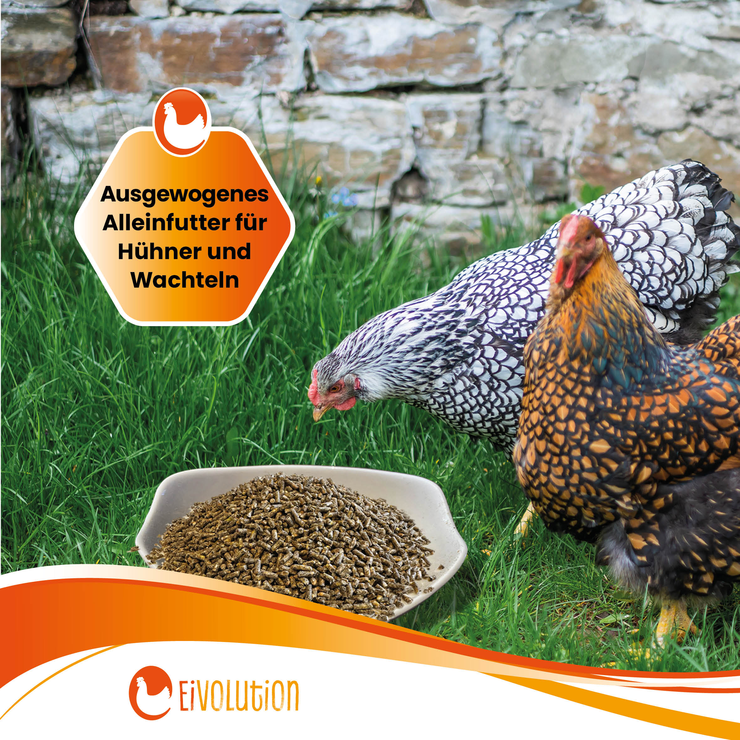 Pellets Bio-Hühnerfutter "Ausgewogenes Alleinfutter für Hühner und Wachteln"