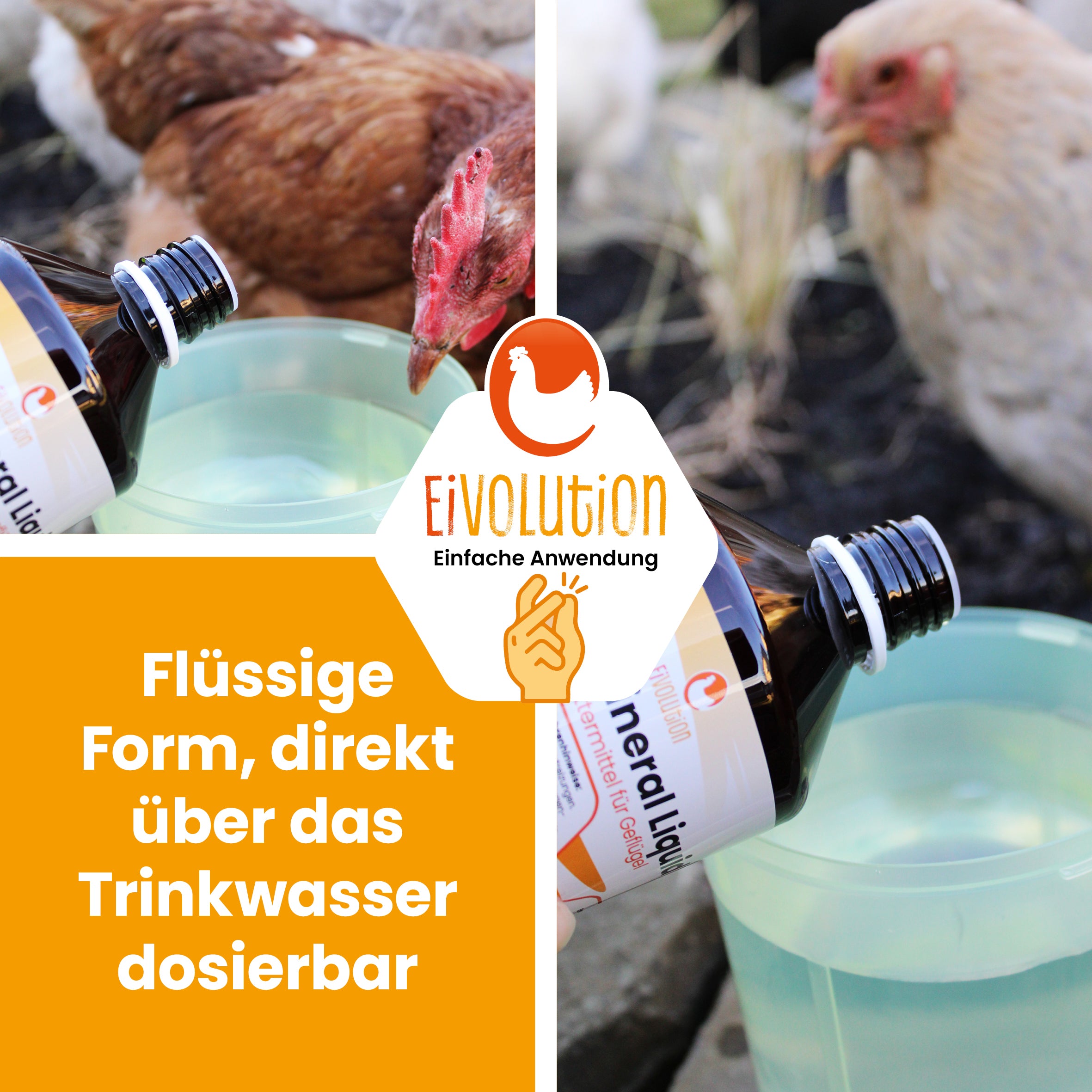 Hühnermineral Liquid "Flüssige Form, direkt über das Trinkwasser dosierbar"