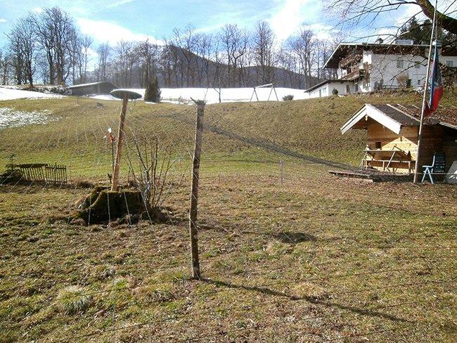 Volierennetz, gespannt mit Holz gestützt