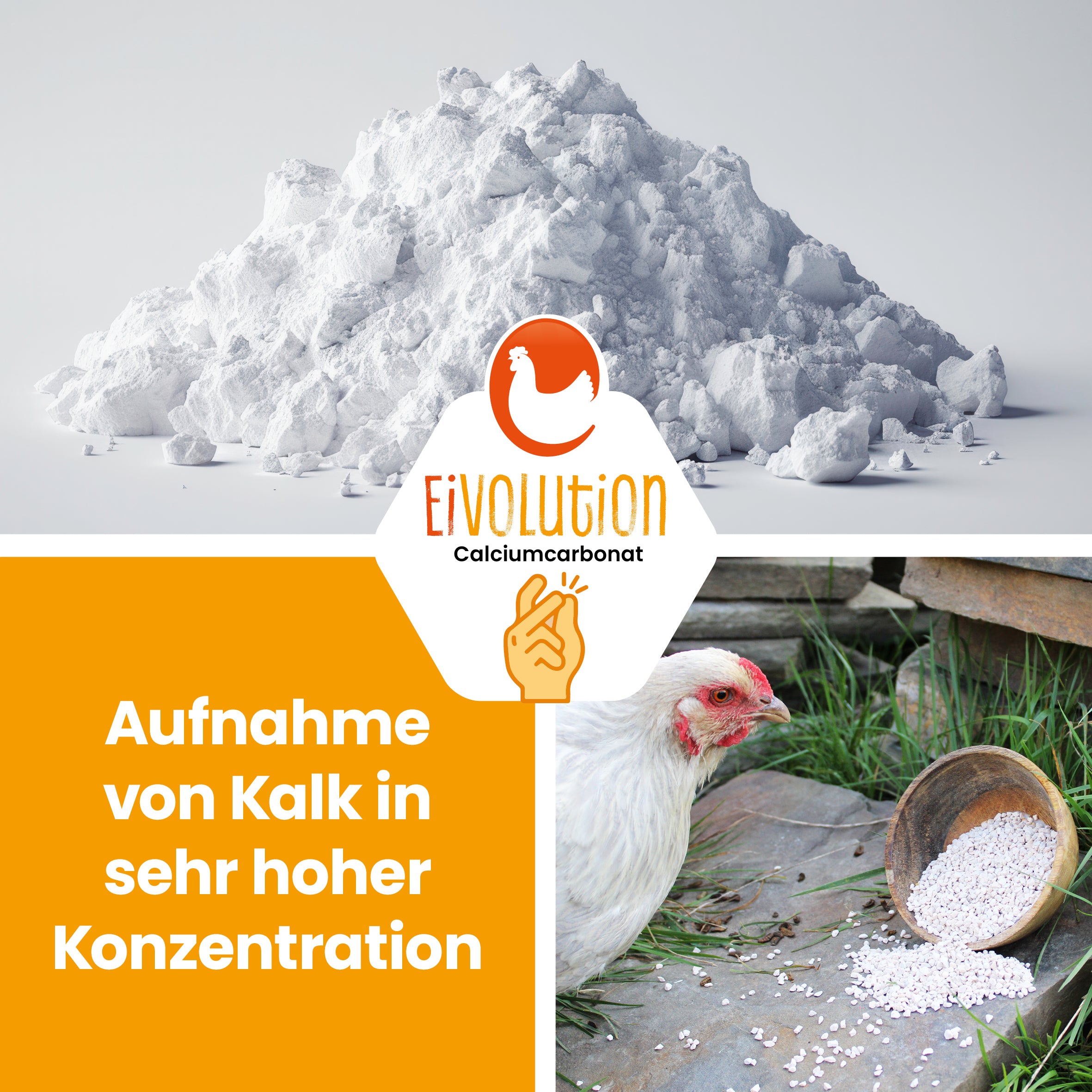 Kalkgrit "Aufnahme von Kalk in sehr hoher Konzentration"