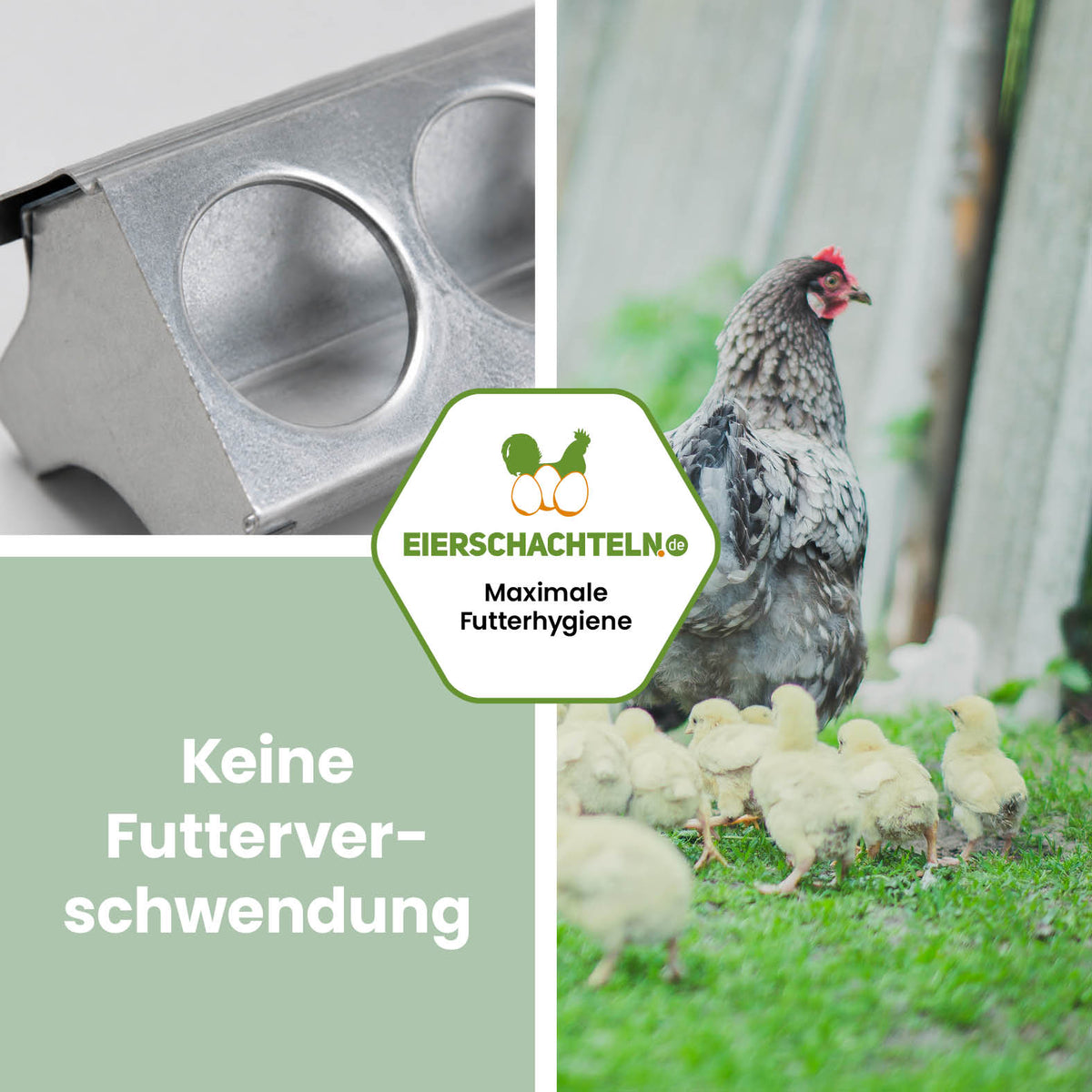 Küken-Futtertrog aus Metall "Maximale Futterhygiene"