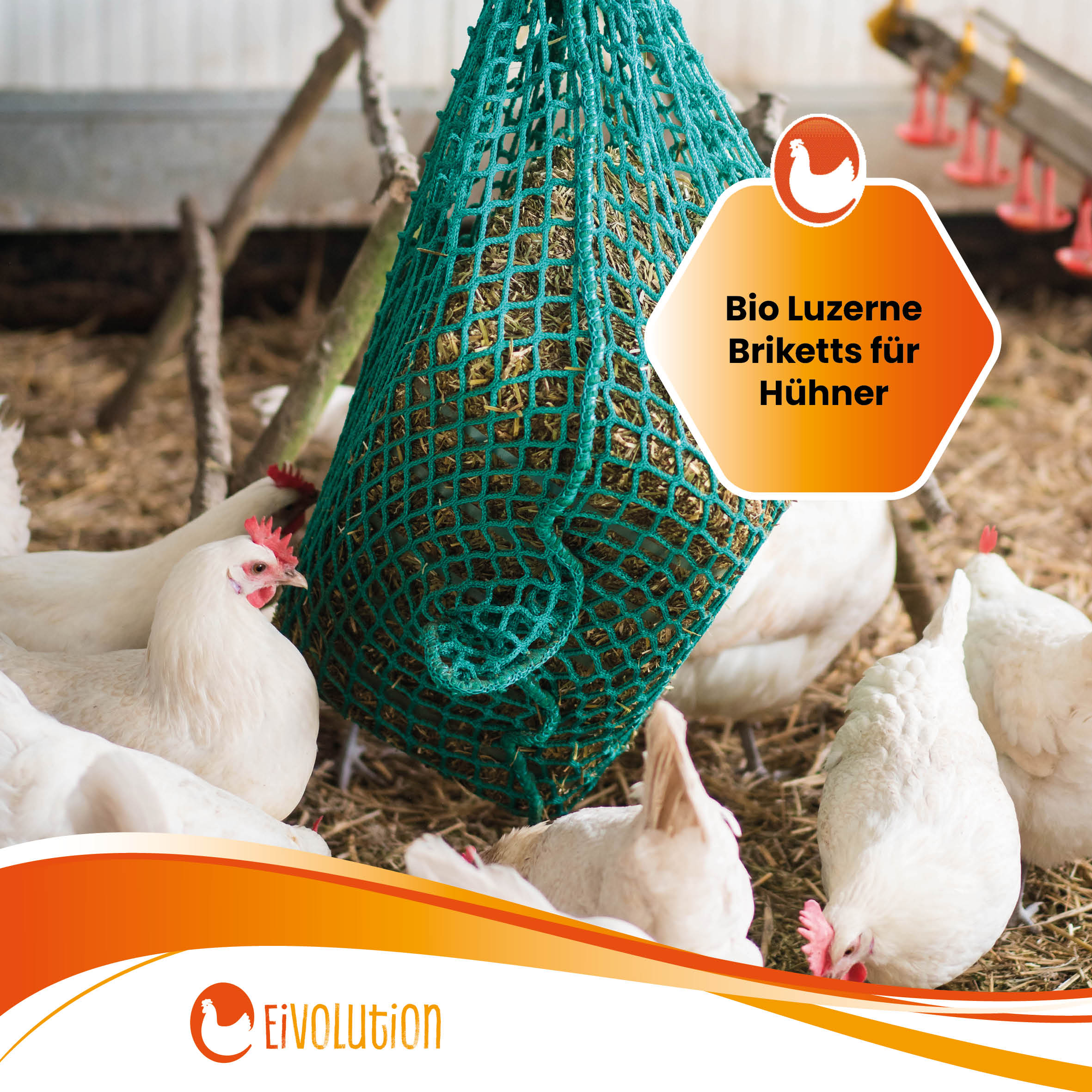 Bio Luzerne Briketts "Bio Luzerne Briketts für Hühner"