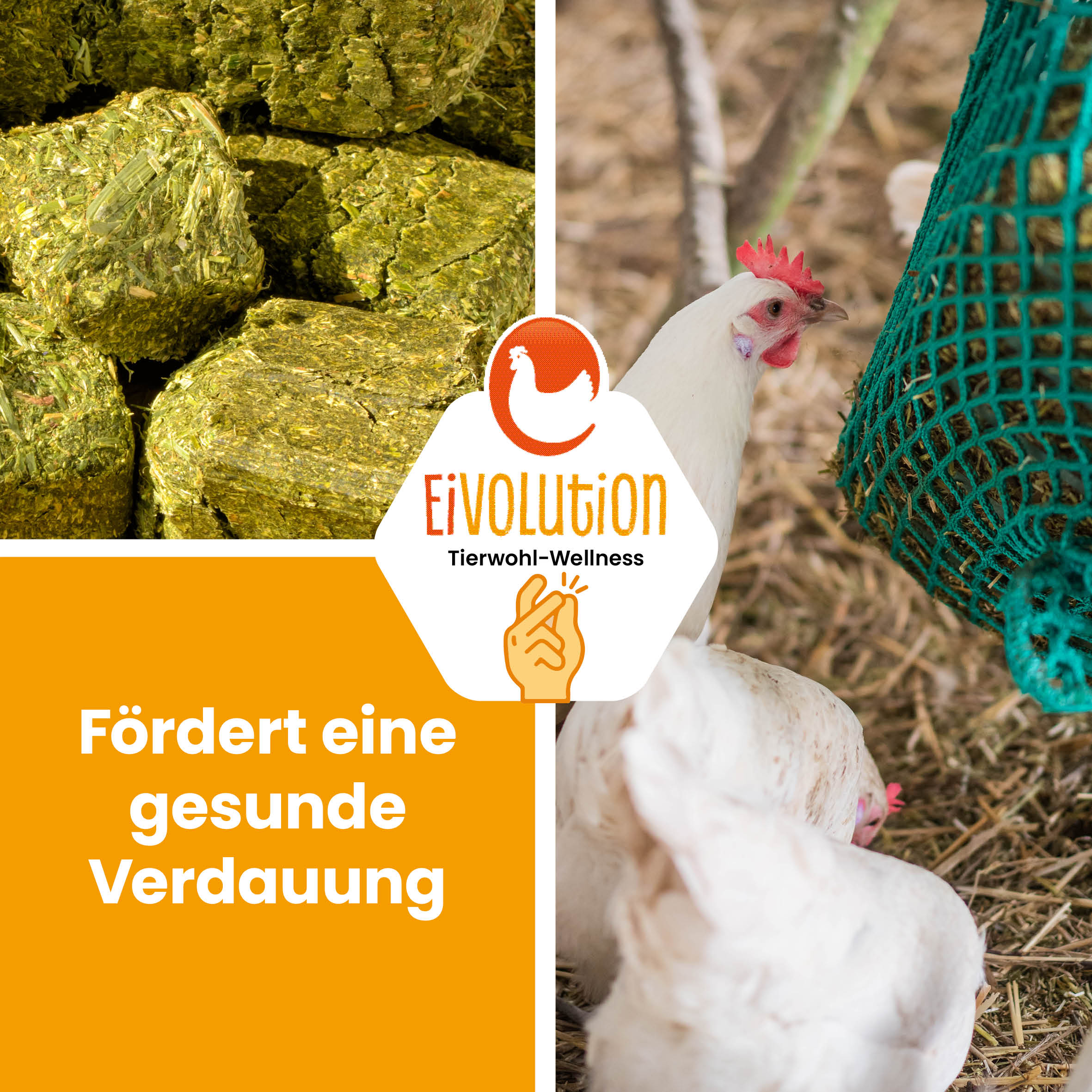 Bio Luzerne Brikett "Fördert eine gesunde Verdauung"