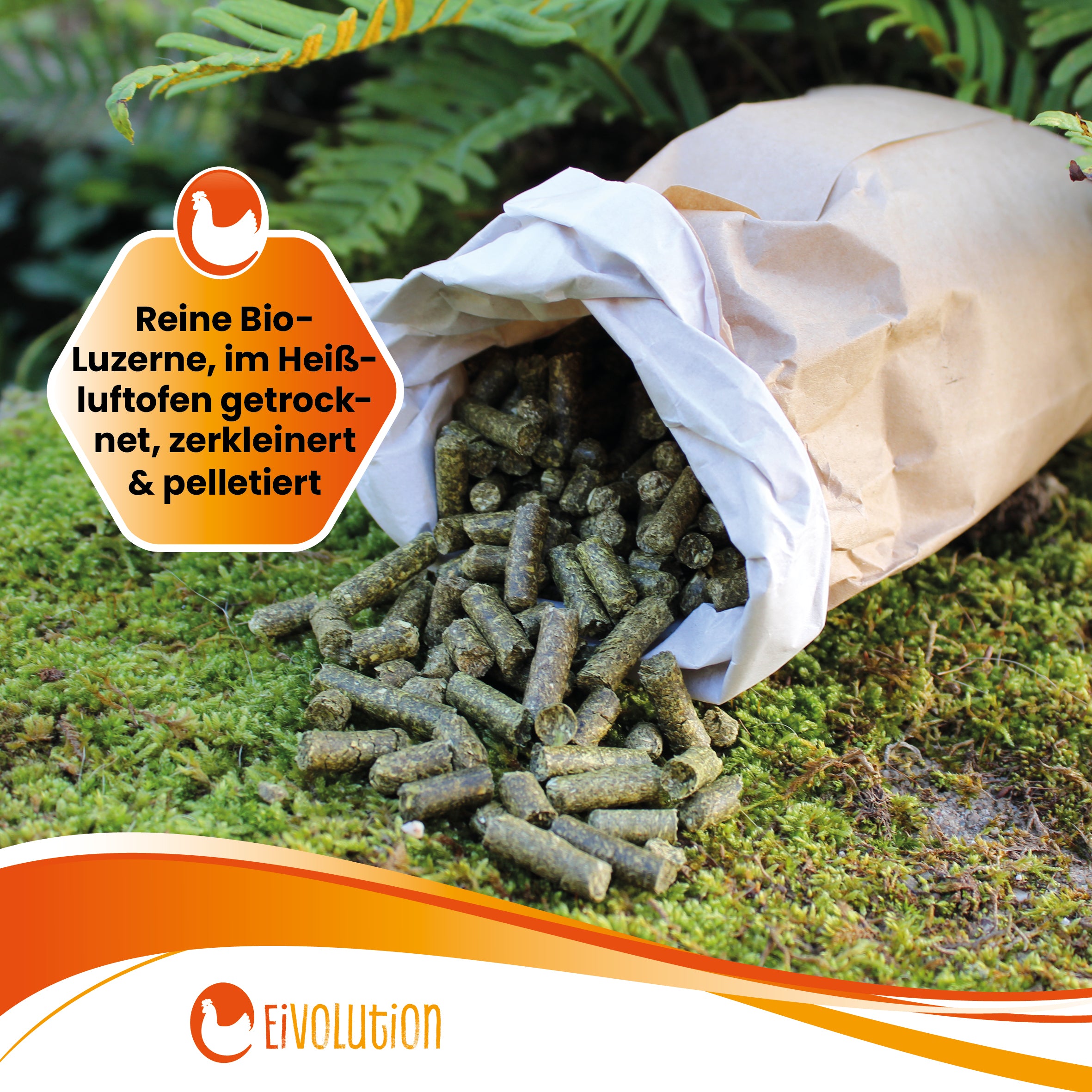 Bio Luzerne Pellets für Kaninchen, Schafe, Pferde "Reine Bio-Luzerne, im Heißluftofen getrocknet, zerkleinert & pelletiert"