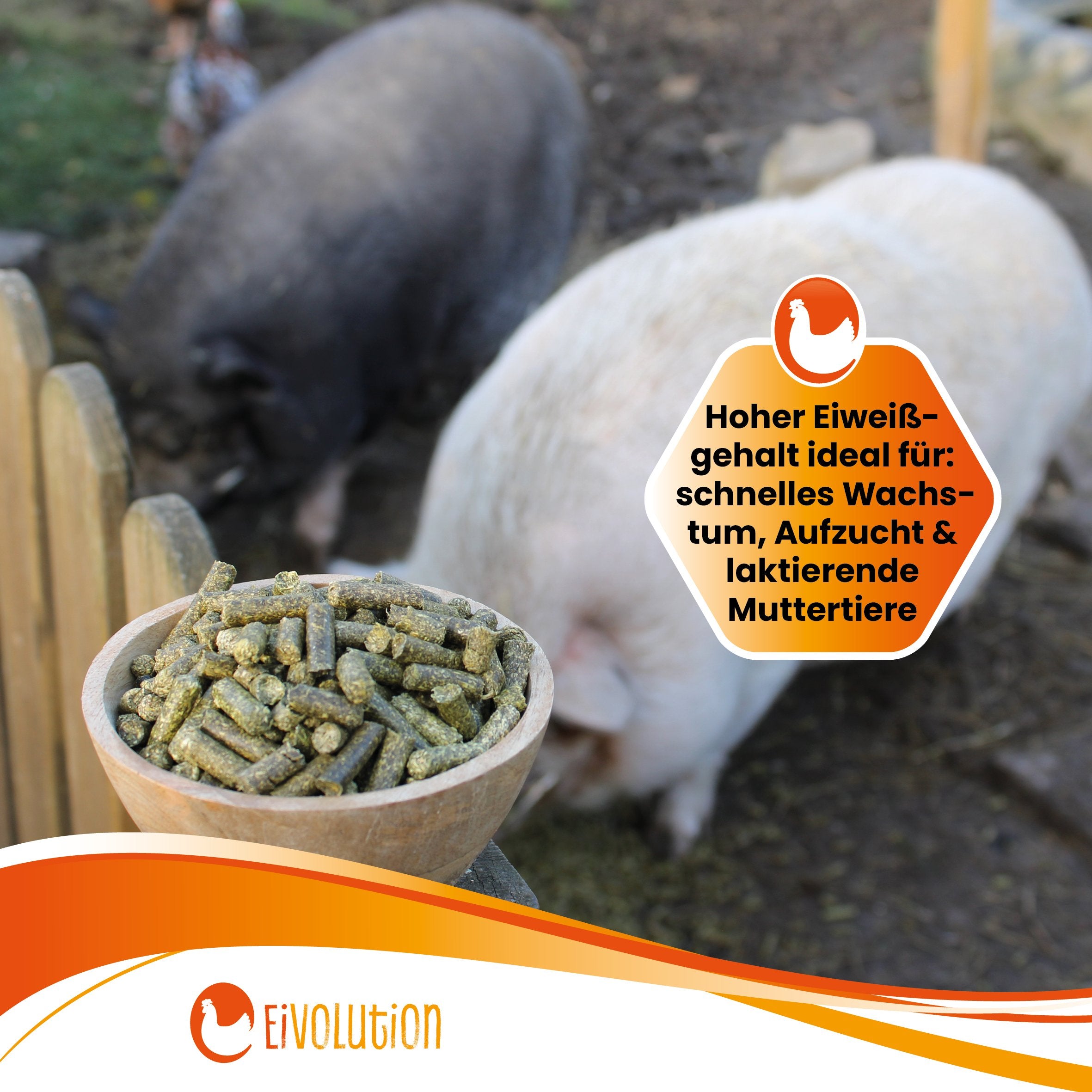 10 kg Bio Luzerne Pellets "Hoher Eiweißgehalt ideal für: schnelles Wachstum, Aufzucht & laktierende Muttertiere."