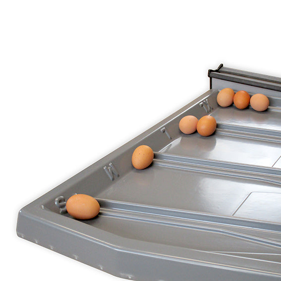 Eiersortiermaschine Mobanette 3, Sortierung