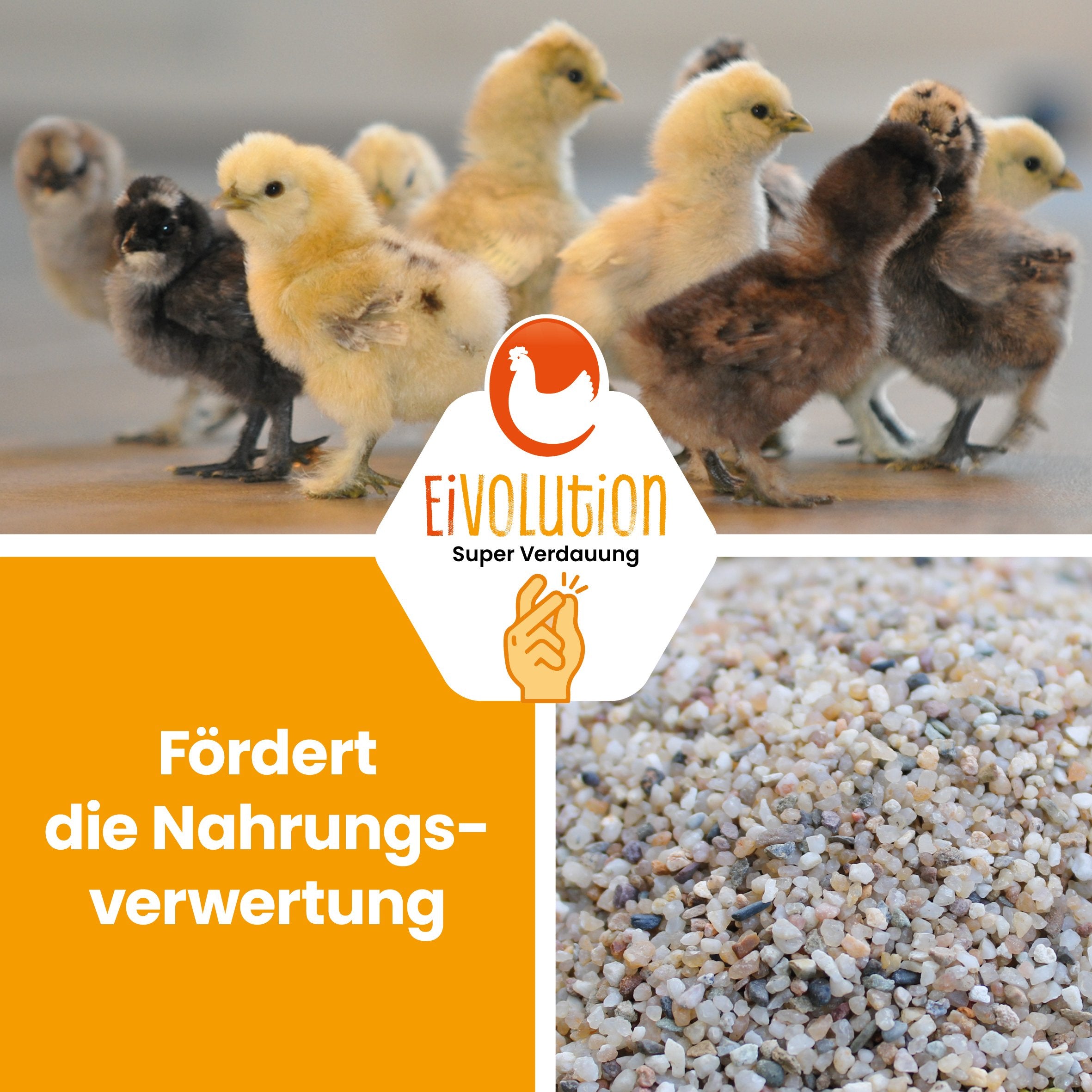 Magenkiesel 1-2 mm "Fördert die Nahrungsverwertung"