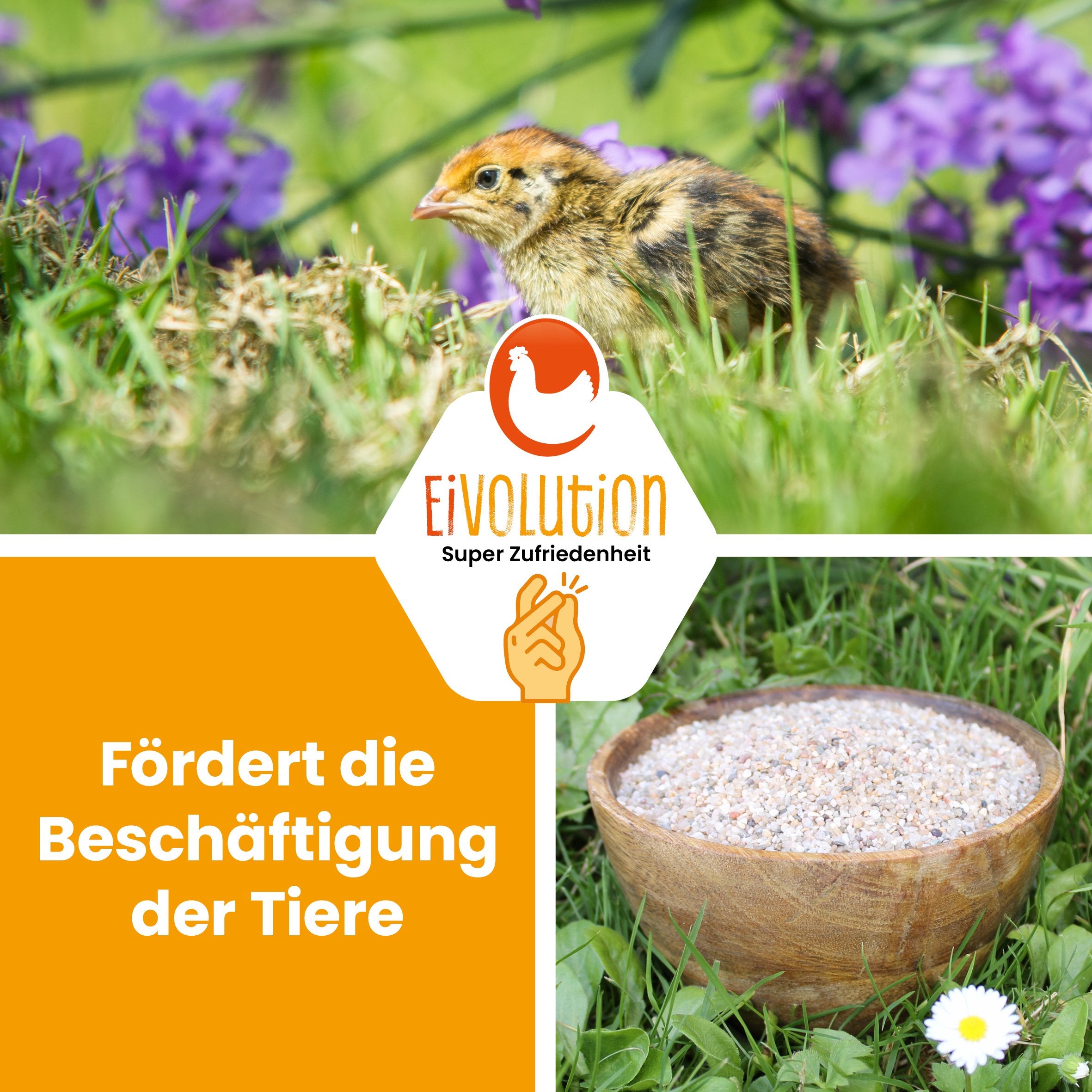 Magenkiesel 1-2 mm "Fördert die Beschäftigung der Tiere"