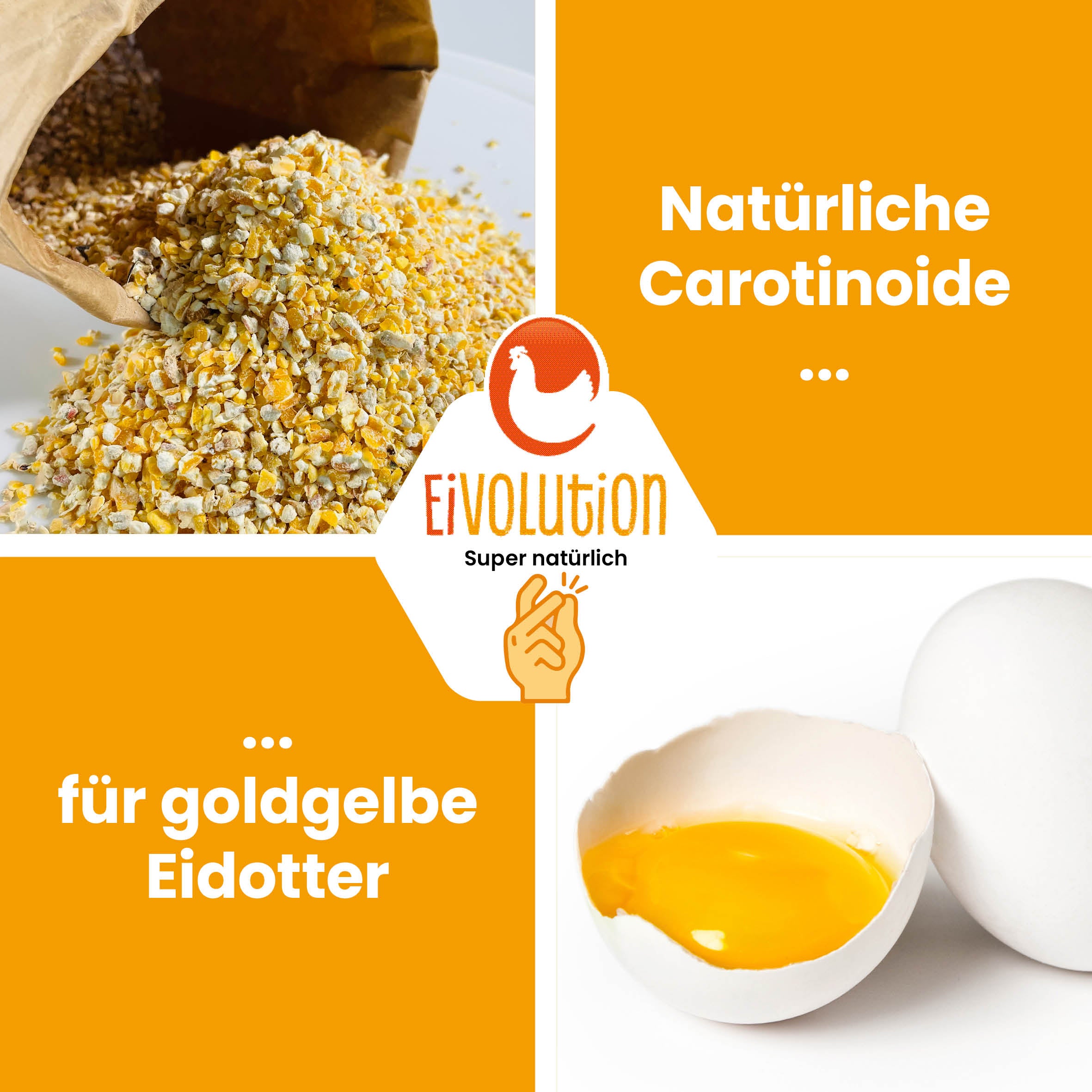 Eivolution Bio-Maisbruch "Natürliche Carotinoide für goldgelbe Eidotter"