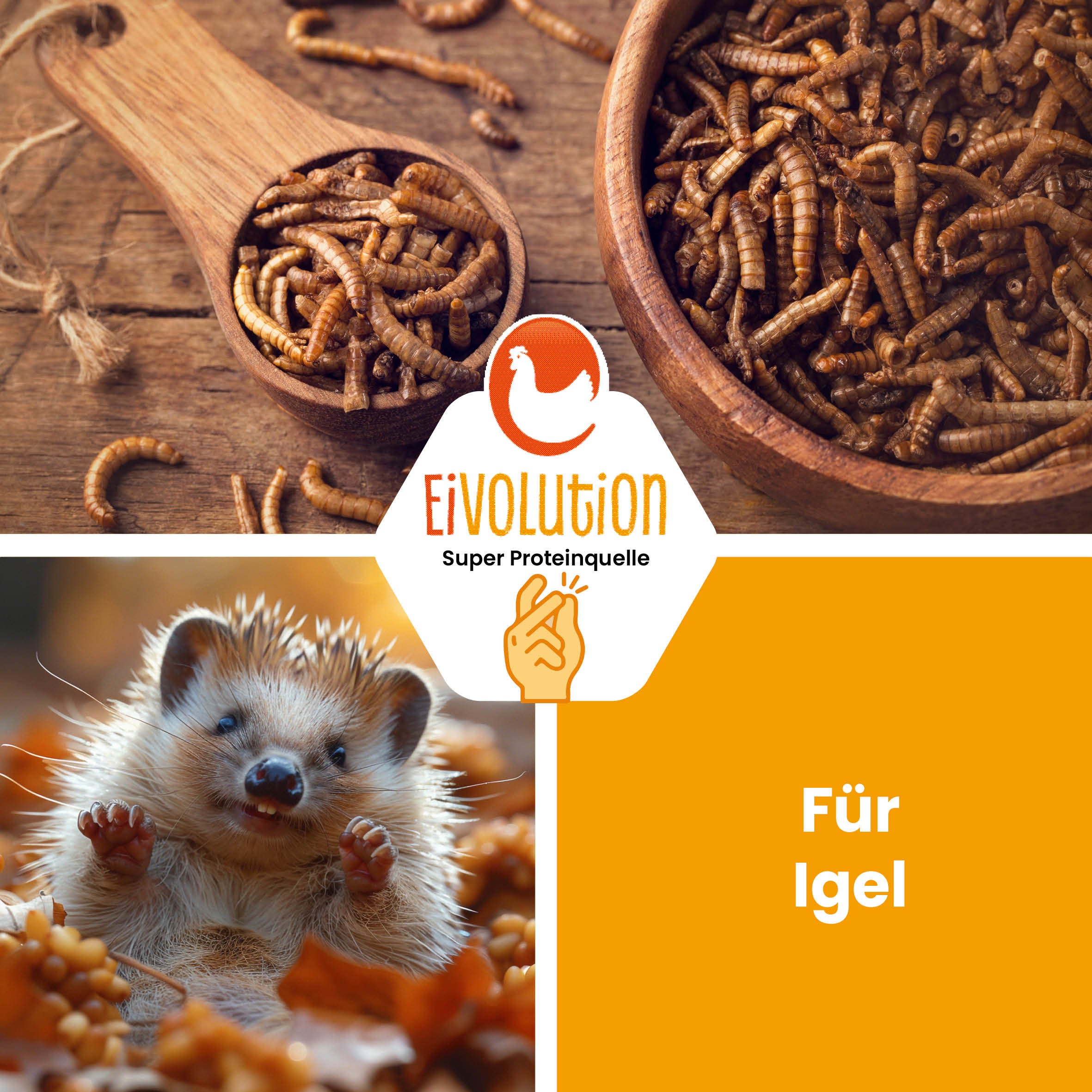 Getrocknete Mehlwürmer "Für Igel"
