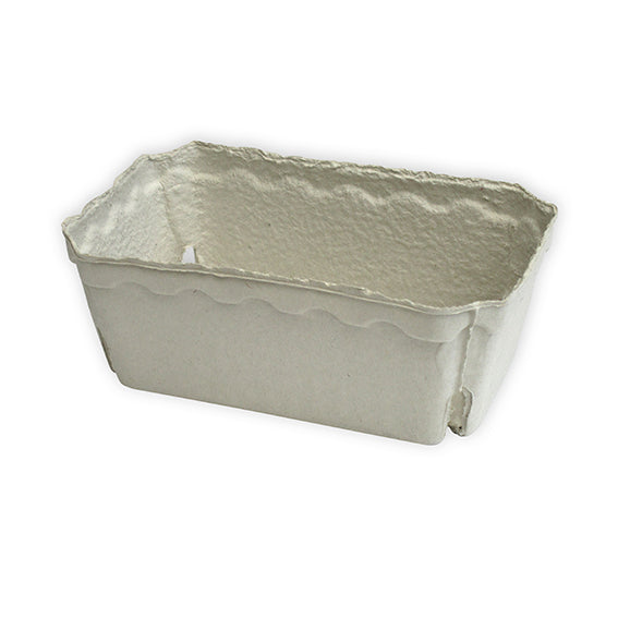 Beerenobstschalen, 500g