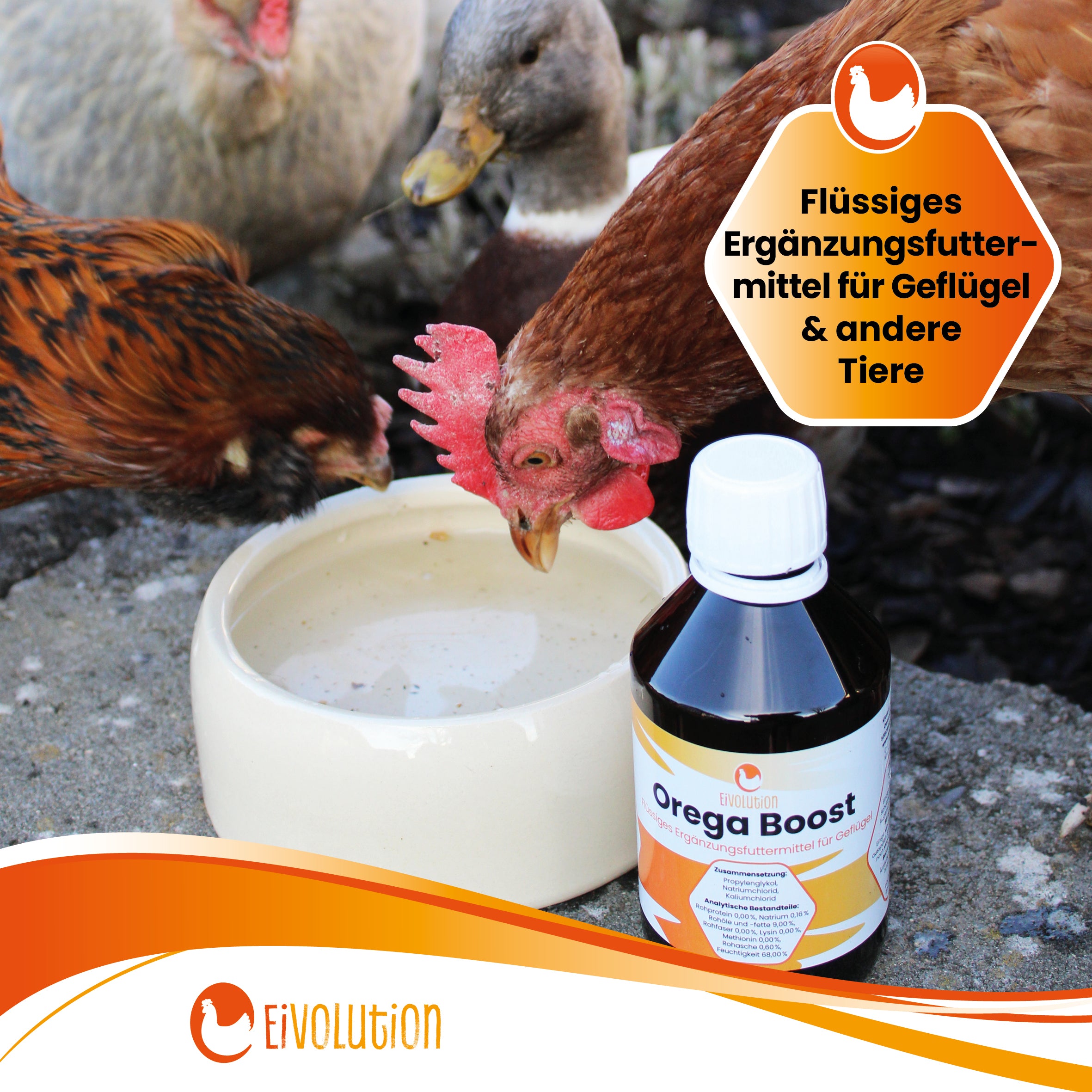 OregaBoost "Flüssiges Ergänzungsfuttermittel für Geflügel & andere Tiere"