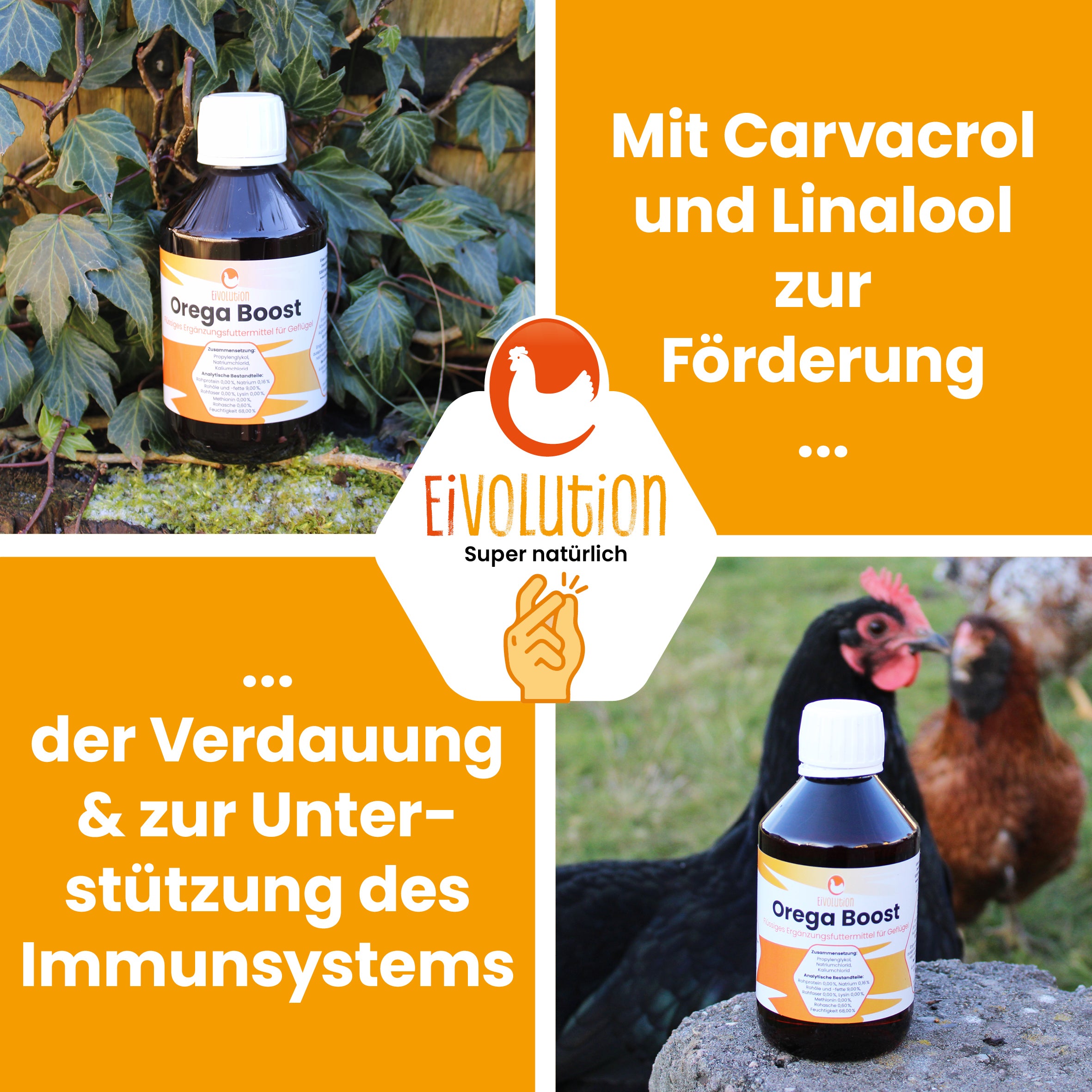 OregaBoost "Mit Carvacrol und Linalool zur Förderung der Verdauung & zur Unterstützung des Immunsystems"