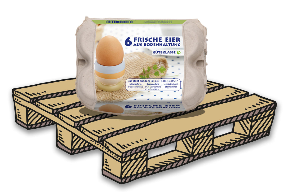 ComPac 6er Eierschachteln mit Etikett für Bodenhaltung, Palette