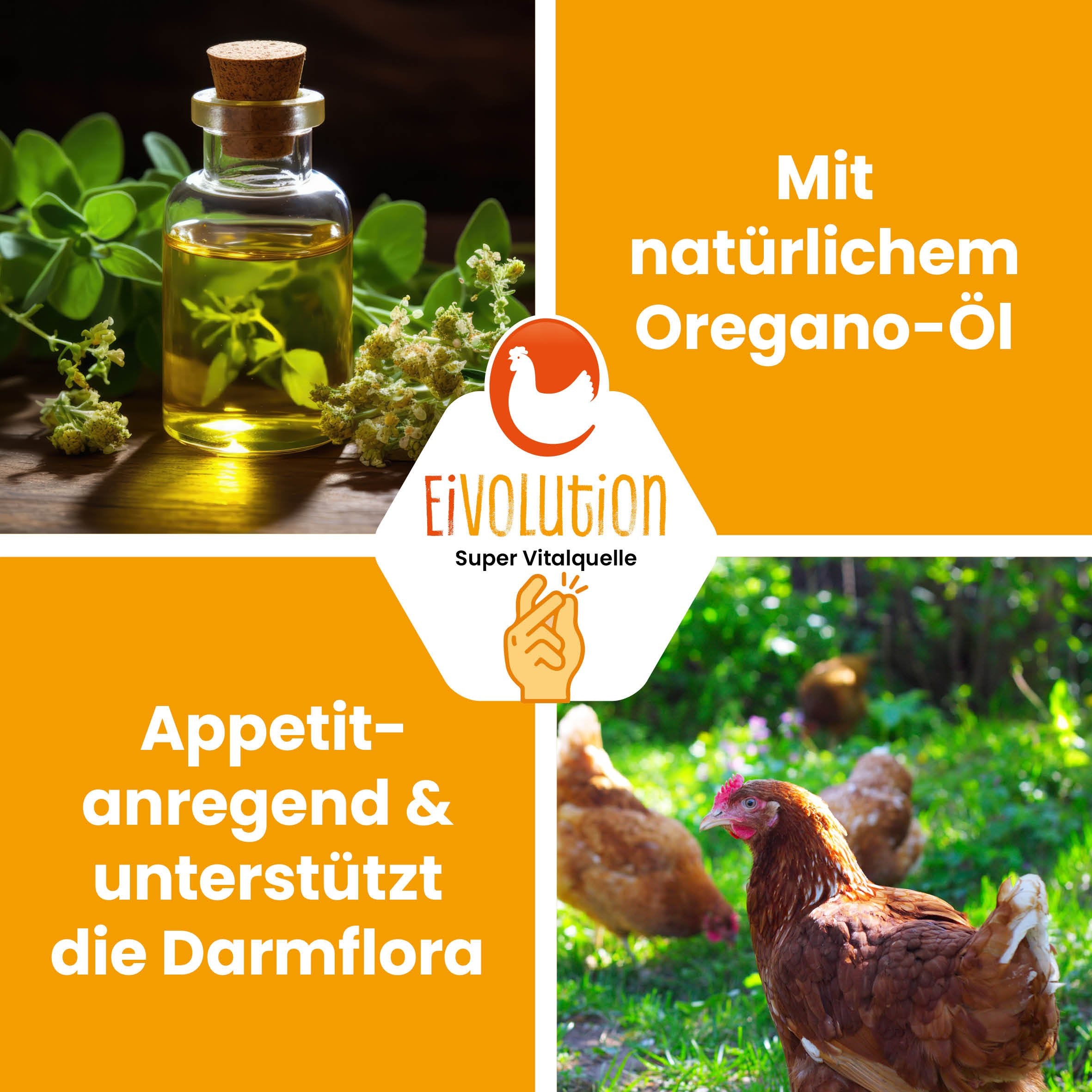 Bio Hühnerfutter Pellets mit Oregano-Öl "Mit natürlichem Oregano-Öl Appetitanregend & unterstützt die Darmflora"