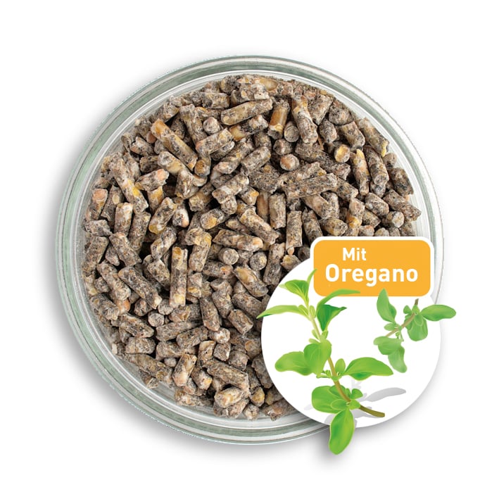Bio Hühnerfutter Pellets mit Oregano-Öl in der Petrischale