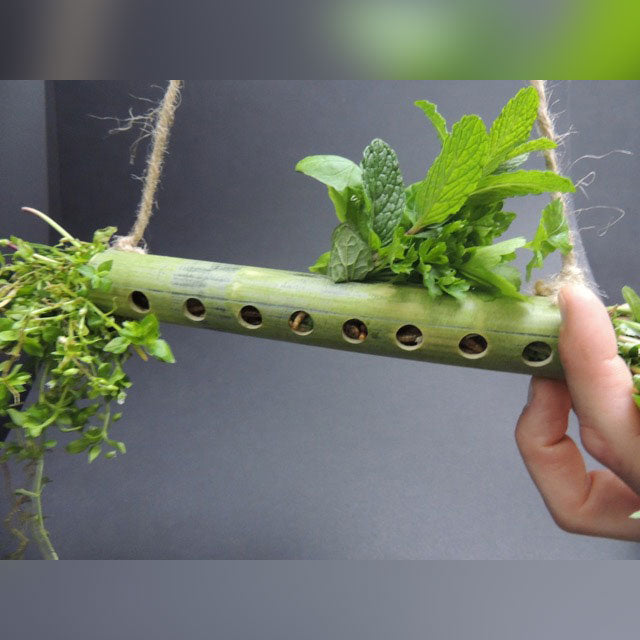 Mehlwurm Pickspaß aus Bambus zur Hühnerbeschäftigung, mit Kräutern