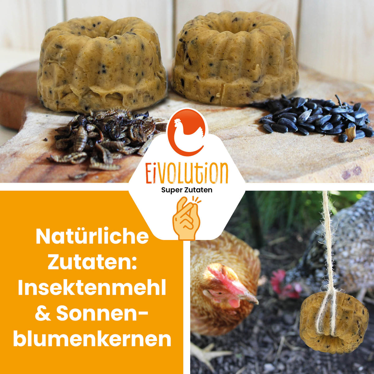 PowerPick Küchlein "Natürliche Zutaten: Insektenmehl & Sonnenblumenkerne"