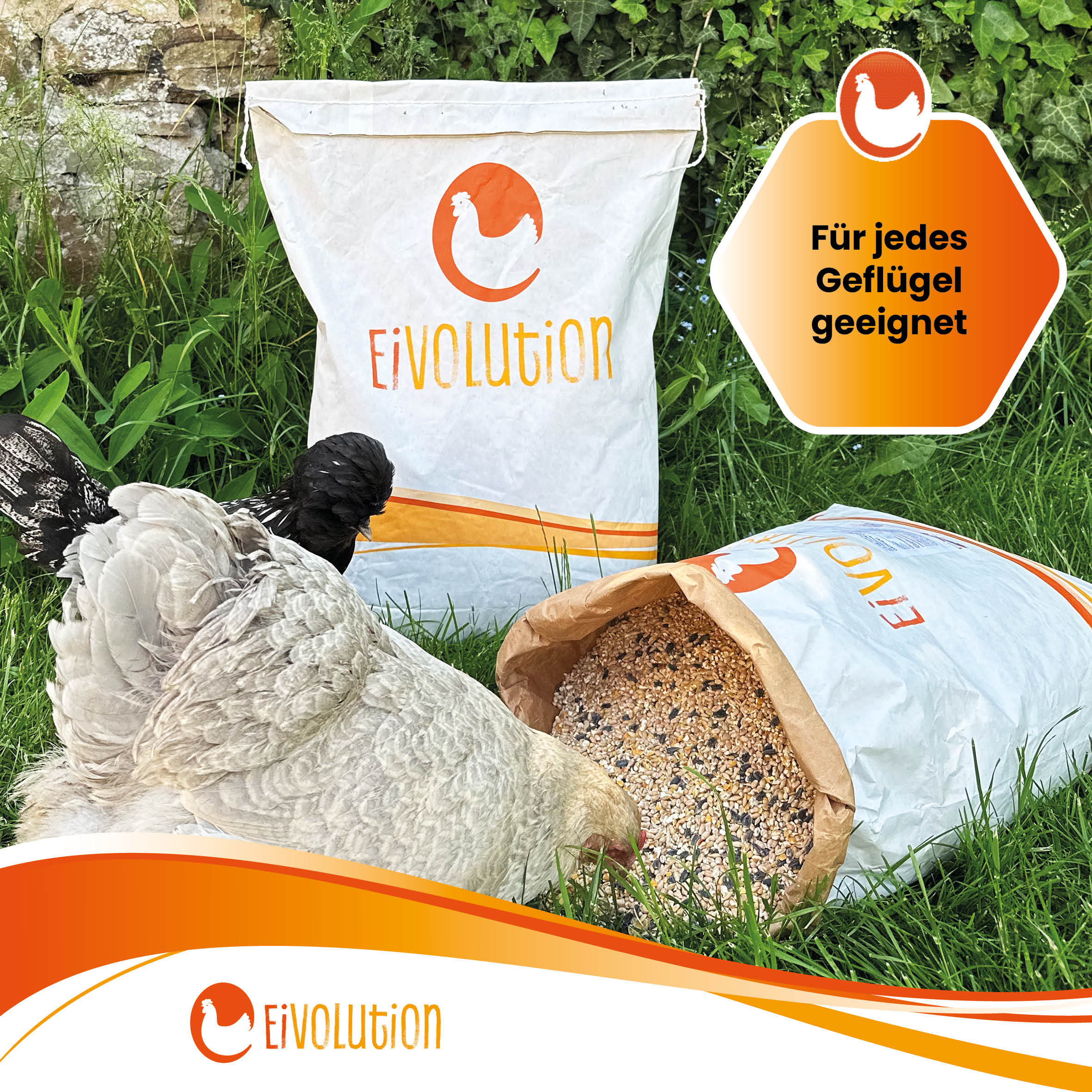 Premium Bio-Körnermischung "Für jedes Geflügel geeignet"