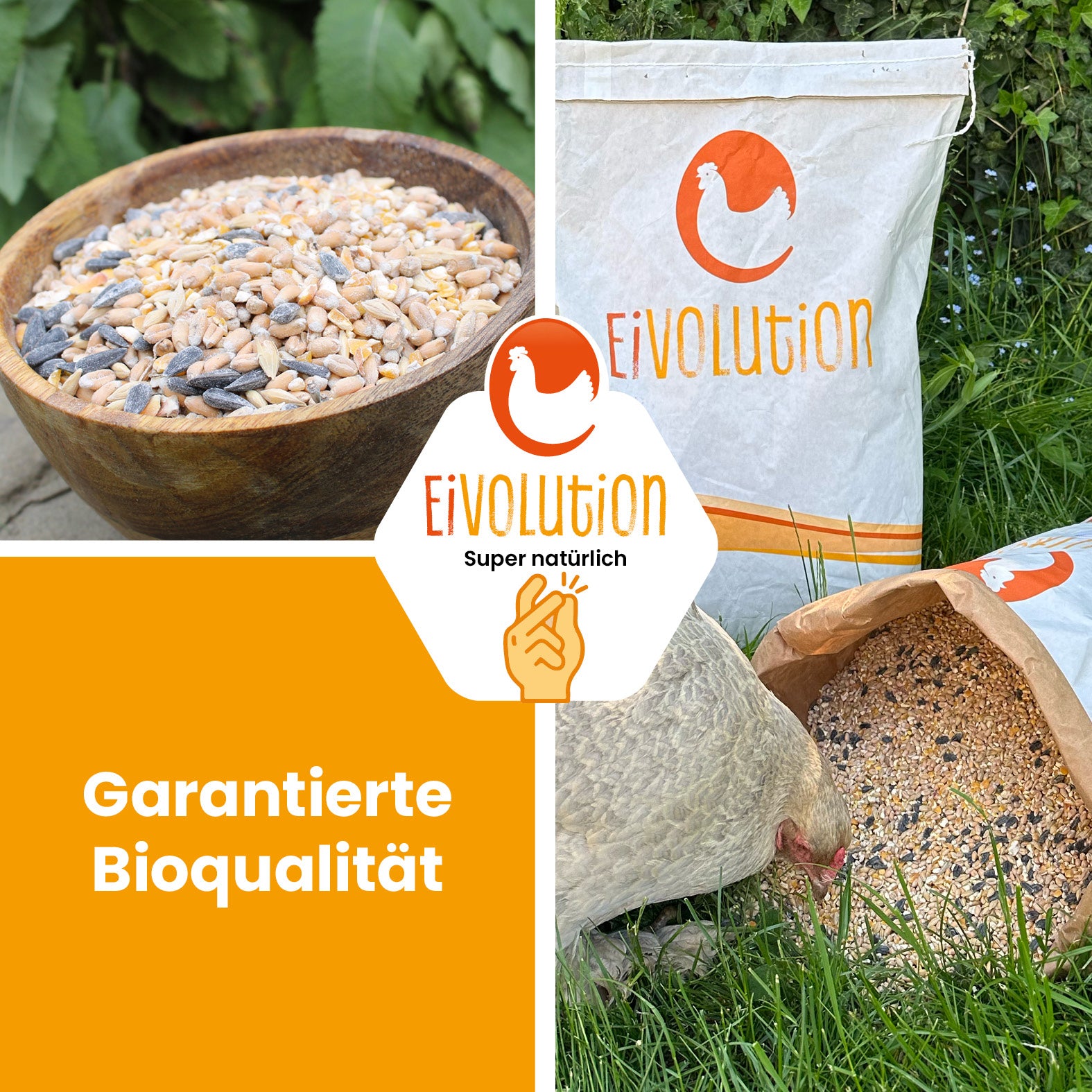 Premium Bio Körnermischung - Naturland zertifiziert "Garantierte Bioqualität"