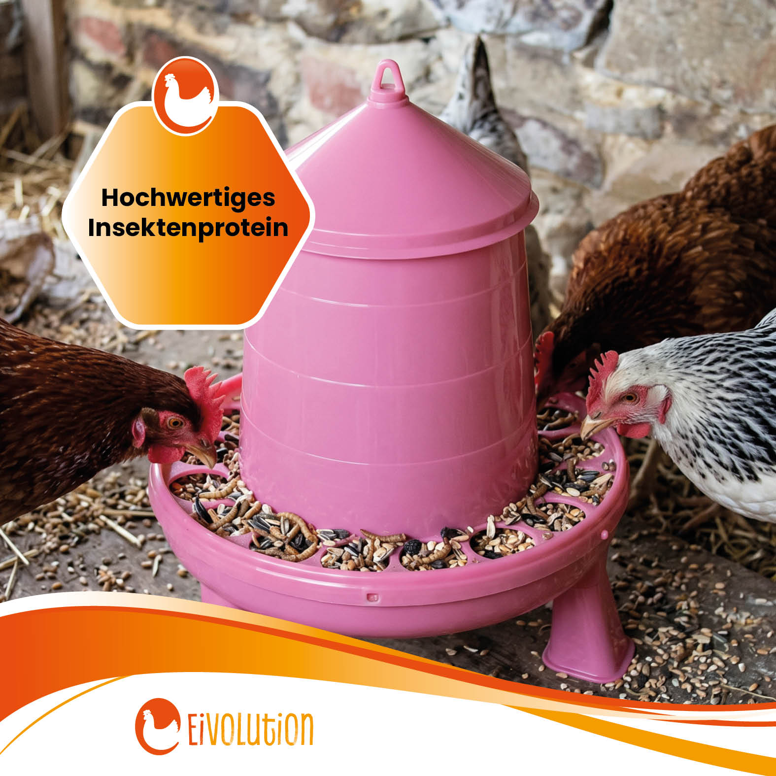 ProteinMüsli "Hochwertiges Insektenprotein"