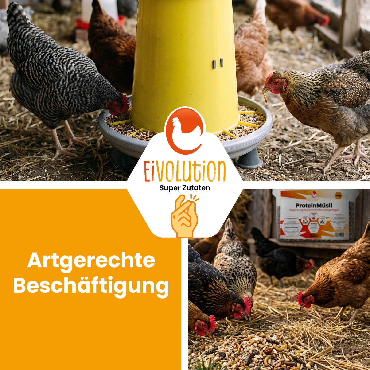 ProteinMüsli "Artgerechte Beschäftigung"