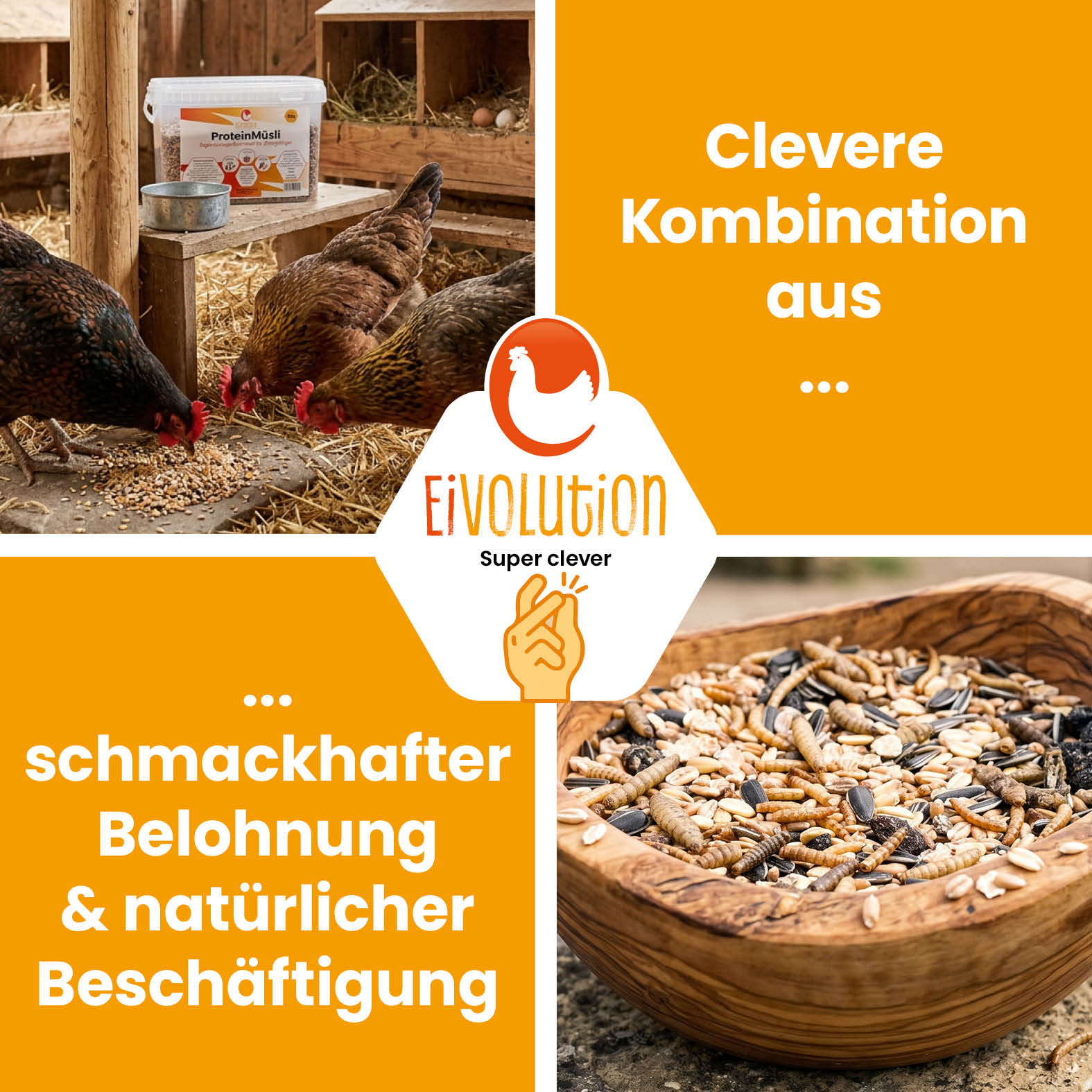 ProteinMüsli "Clevere Kombination aus schmackhafter Belohnung & natürlicher Beschäftigung"