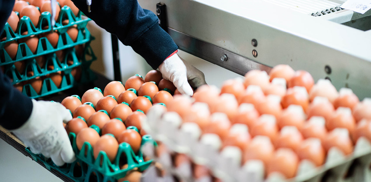 Kategoriebanner Packstelle