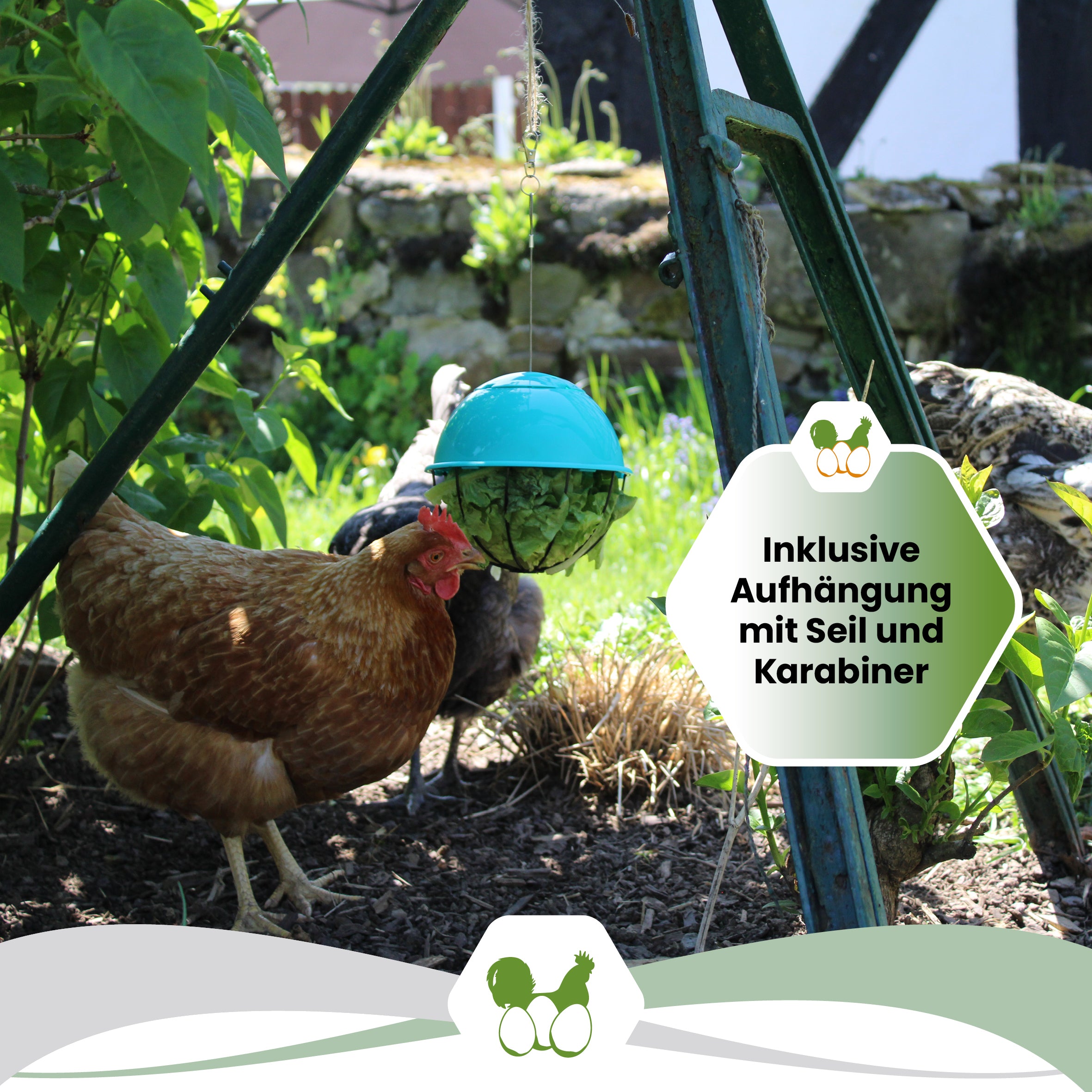 Farbenfroher Futterball / Salatspender "Inklusive Aufhängung mit Seil und Karabiner"